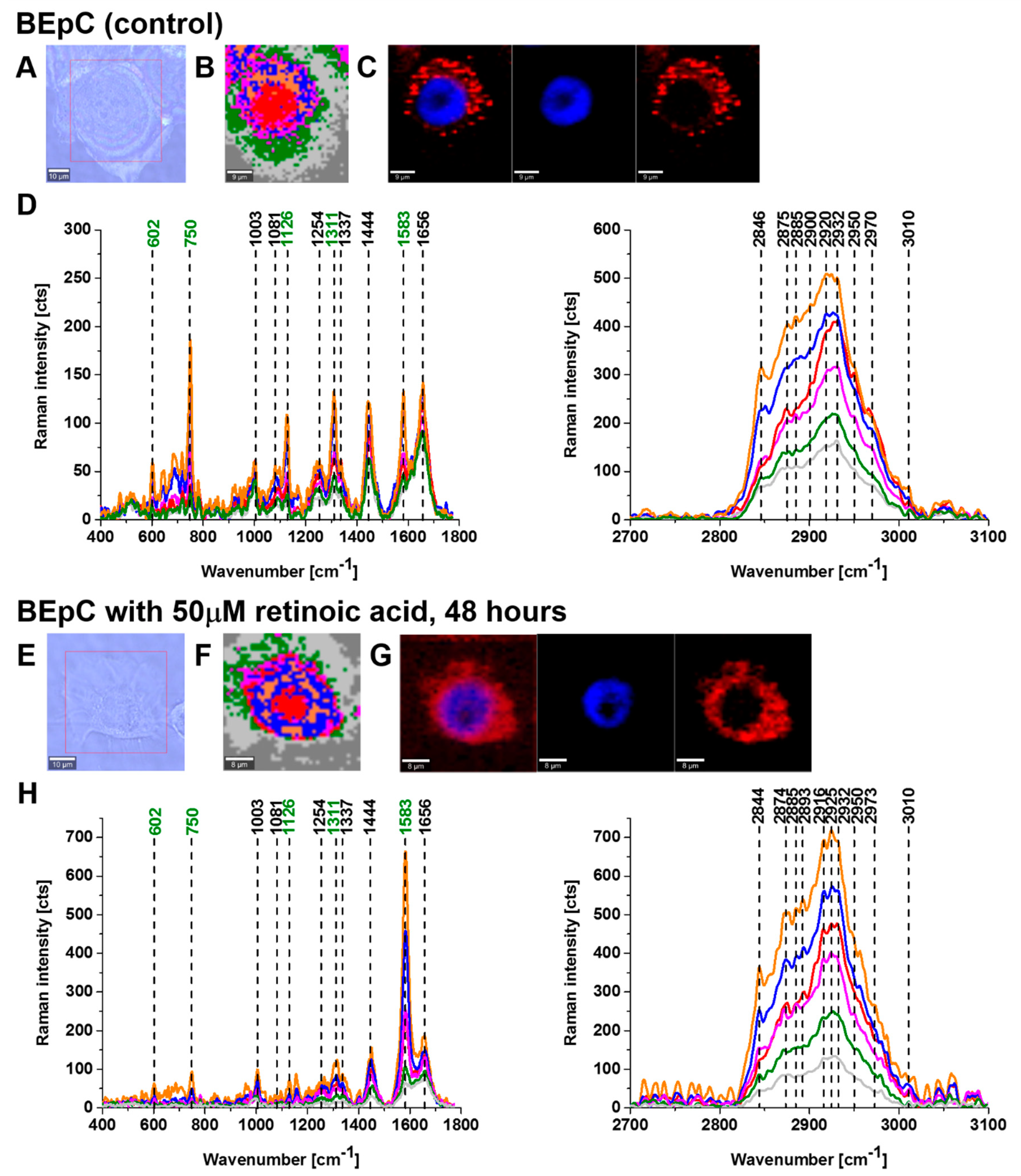 Cancers 15 04535 g002