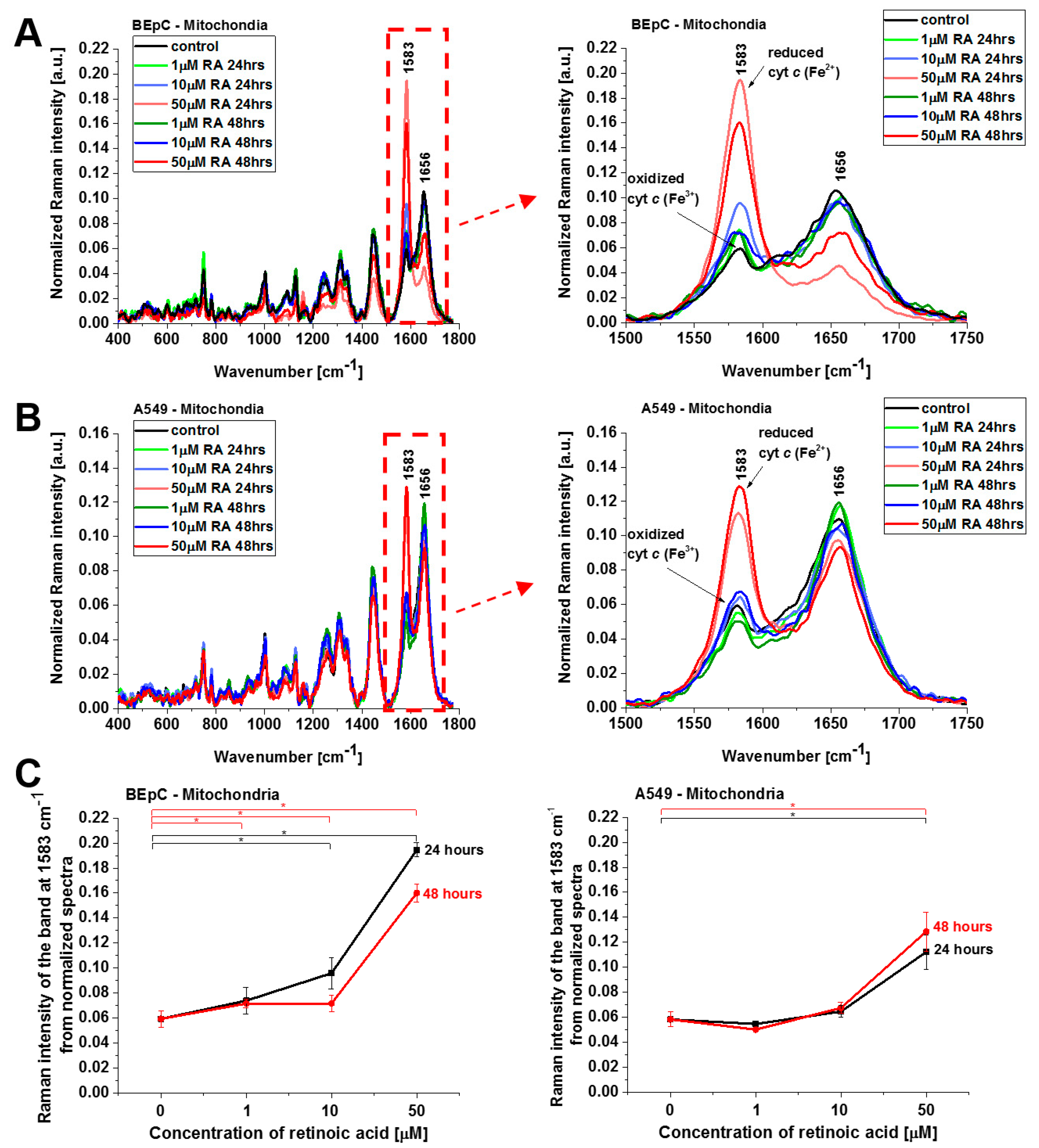 Cancers 15 04535 g004