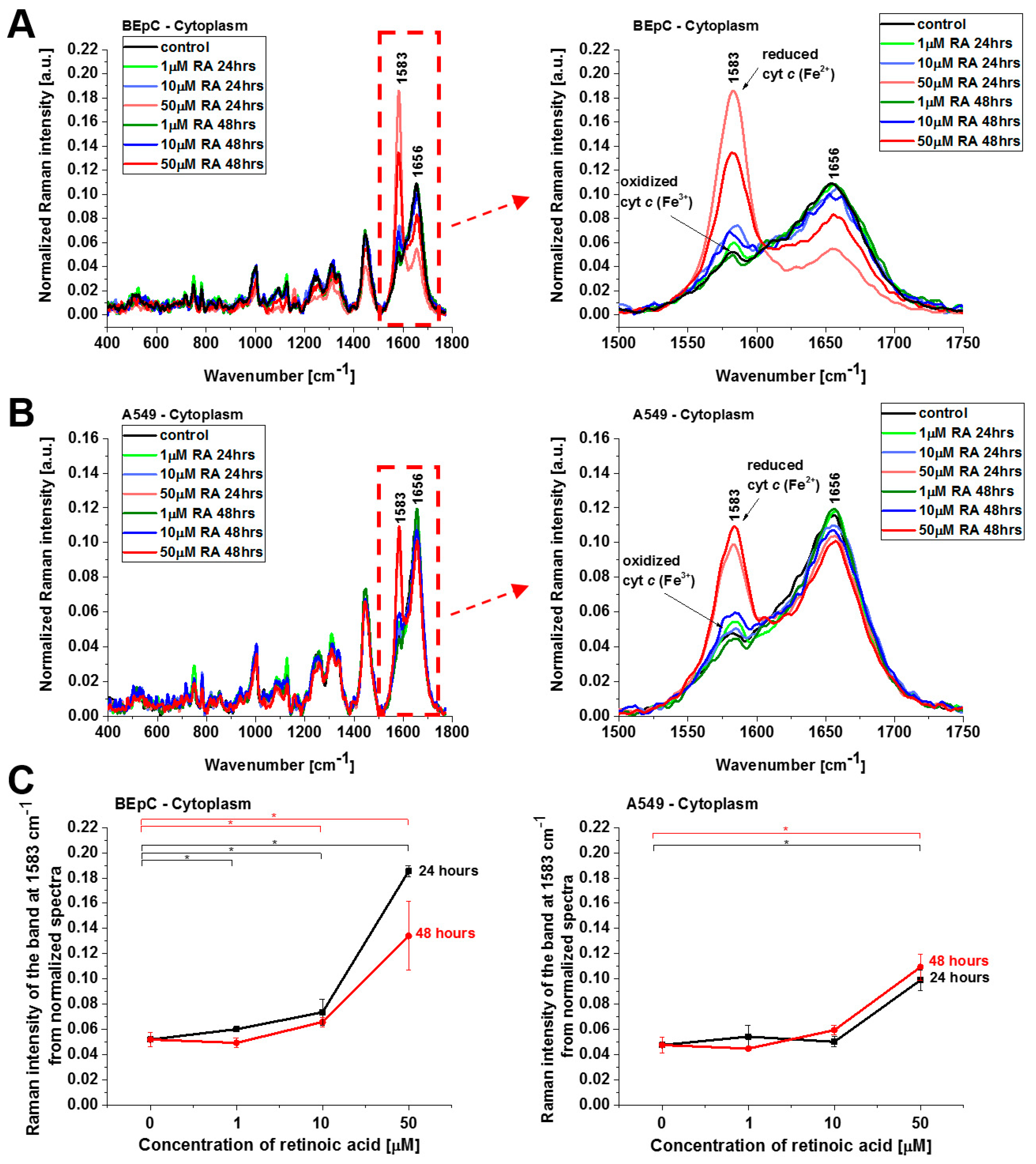 Cancers 15 04535 g005