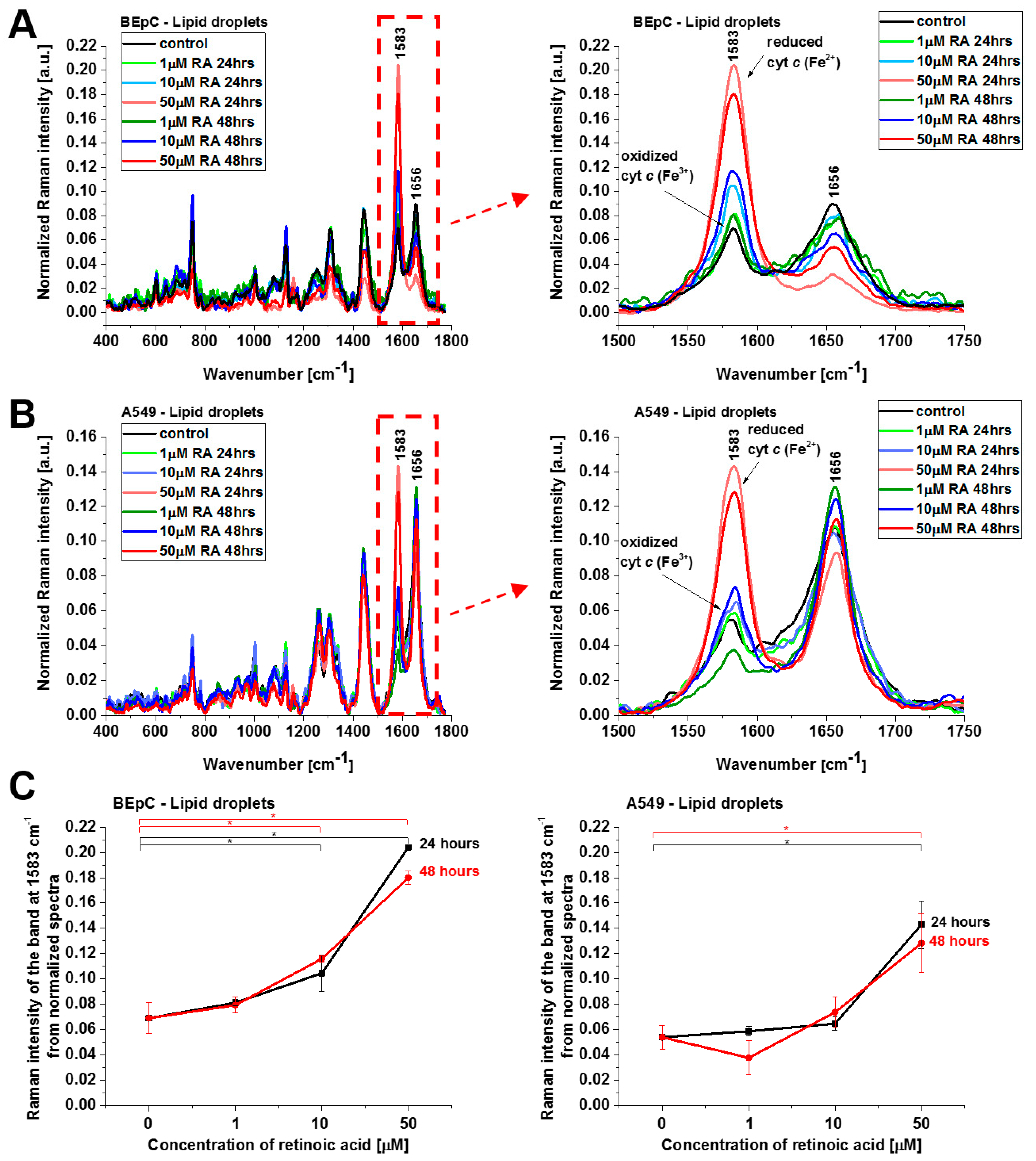 Cancers 15 04535 g006