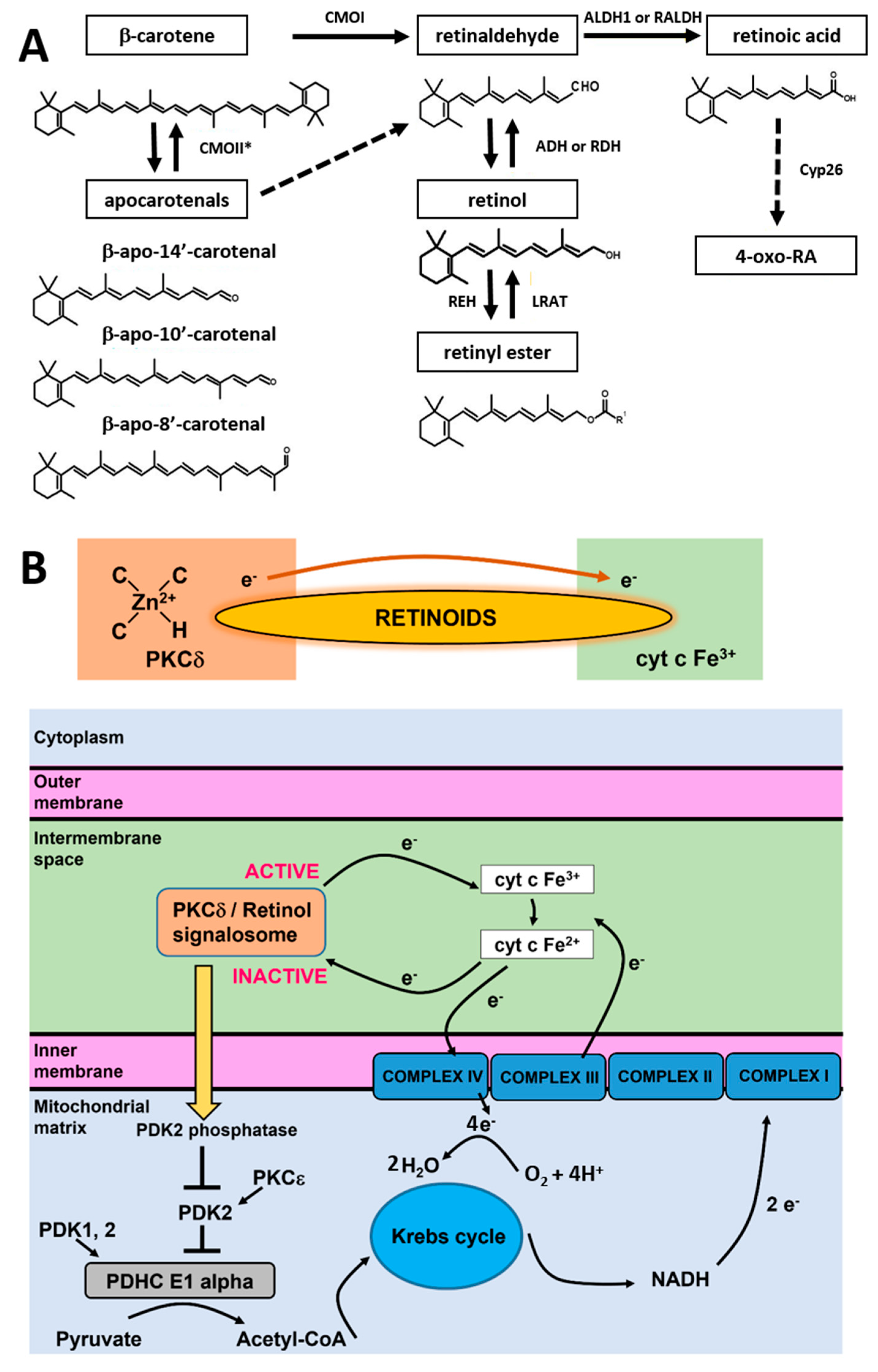 Cancers 15 04535 g009