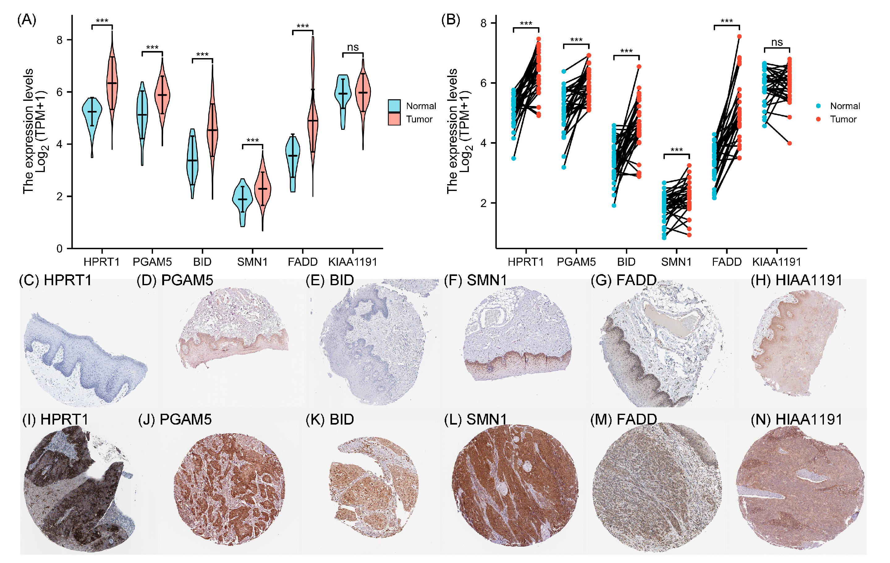 Cancers 15 04539 g007a