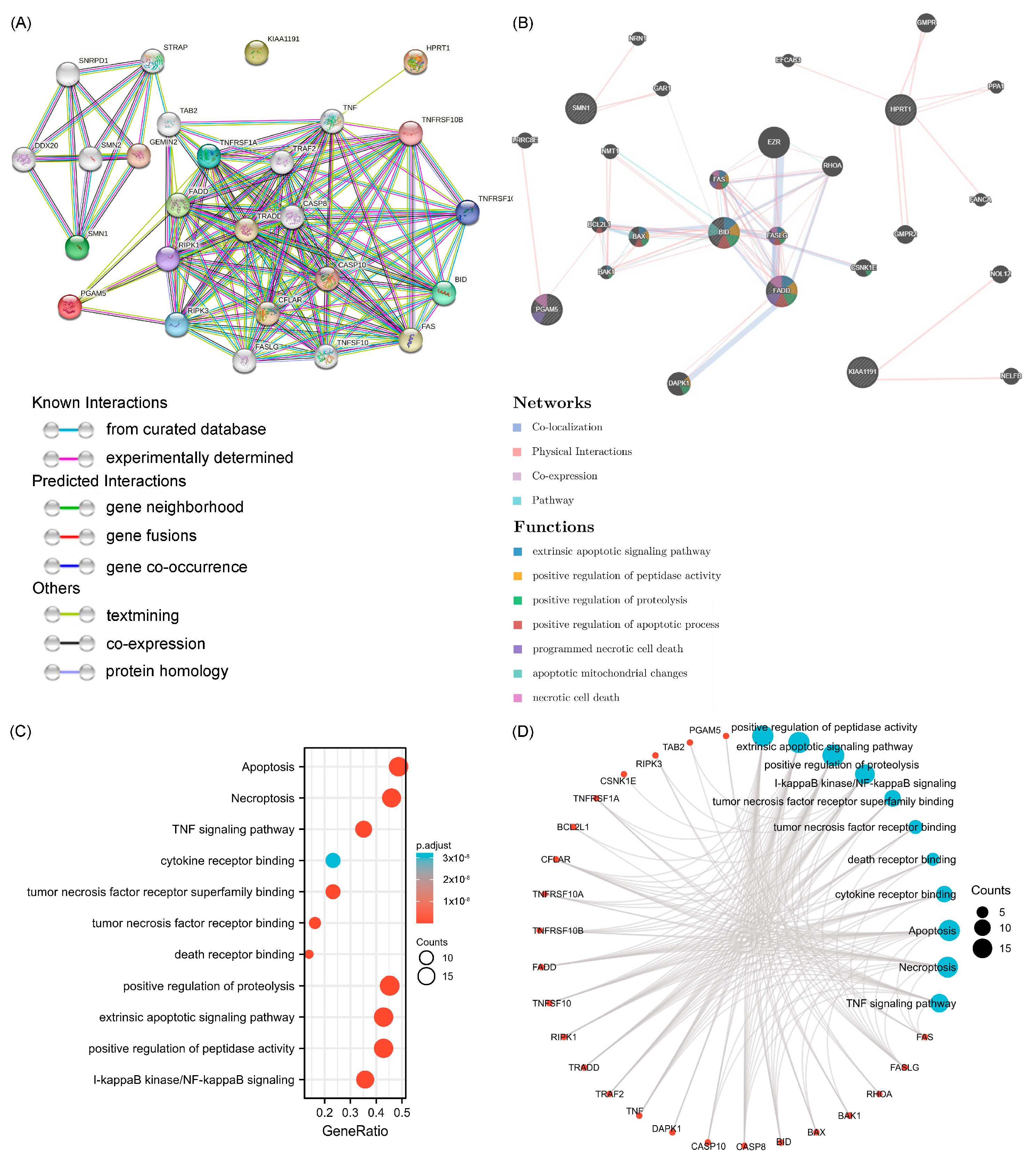 Cancers 15 04539 g008