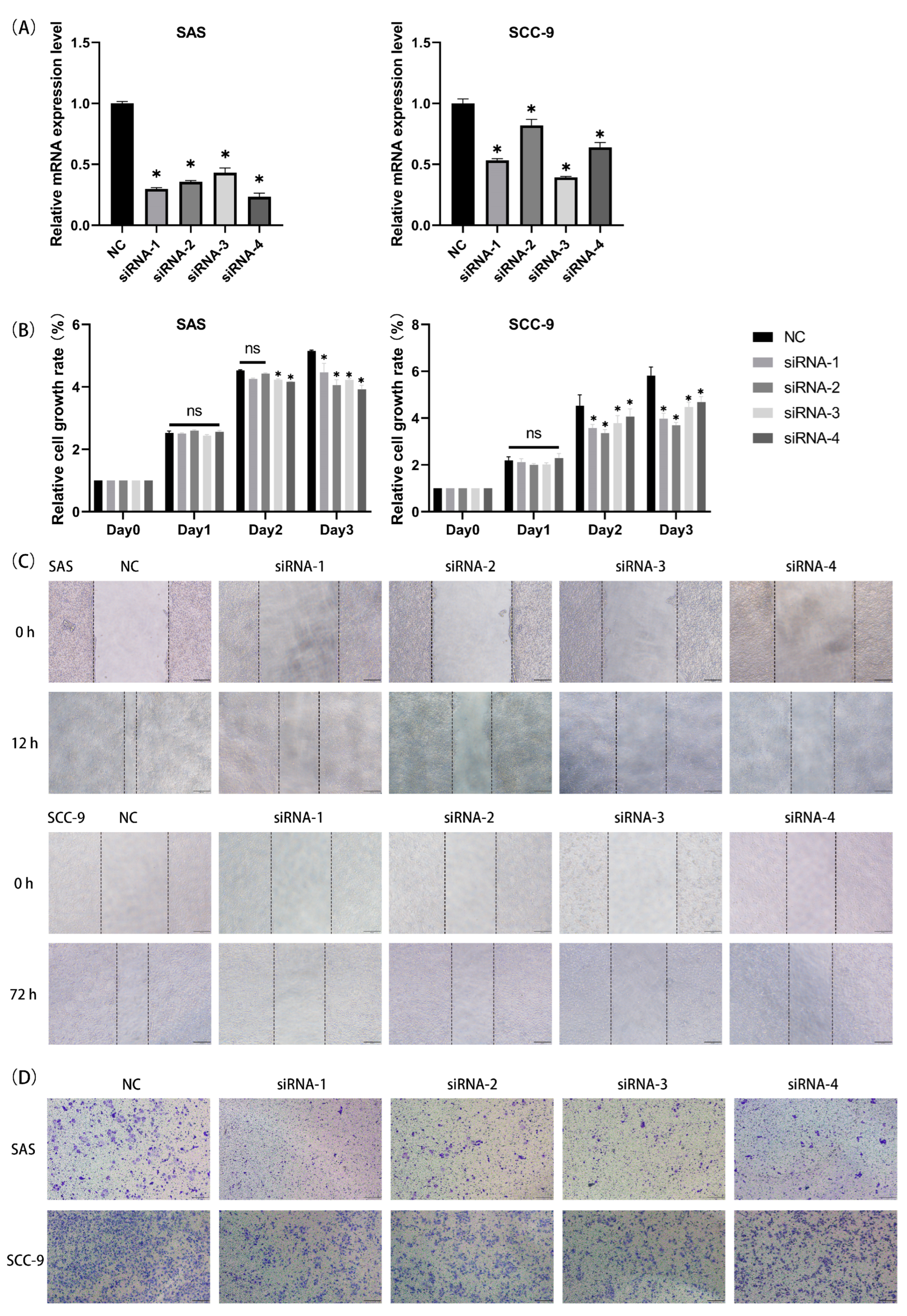 Cancers 15 04539 g010