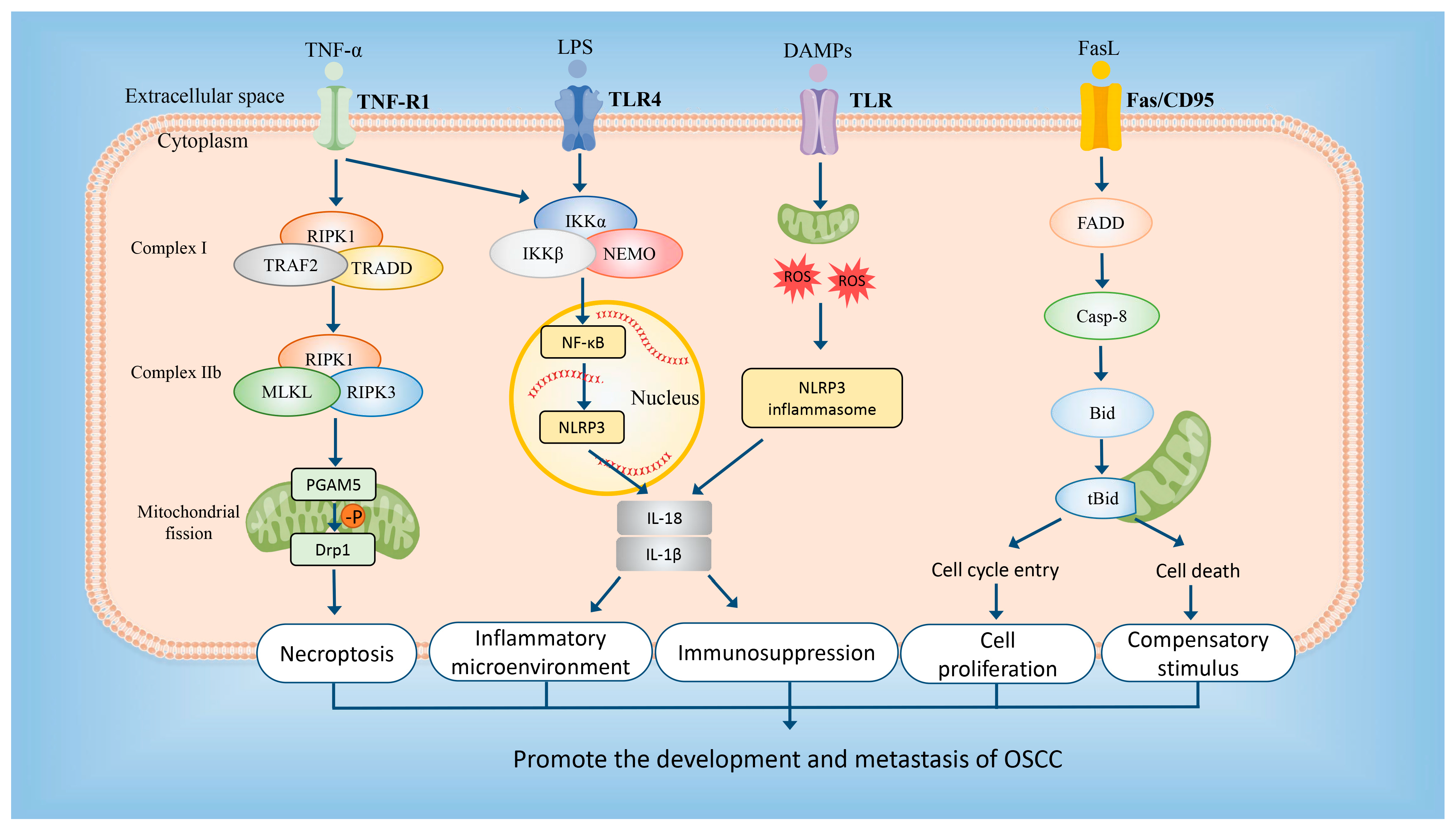 Cancers 15 04539 g011