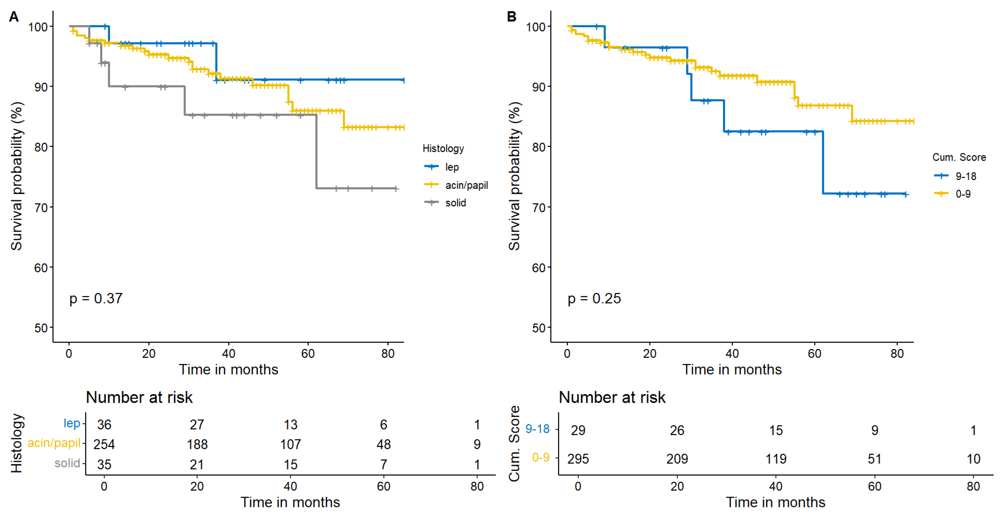 Cancers 15 04542 g003