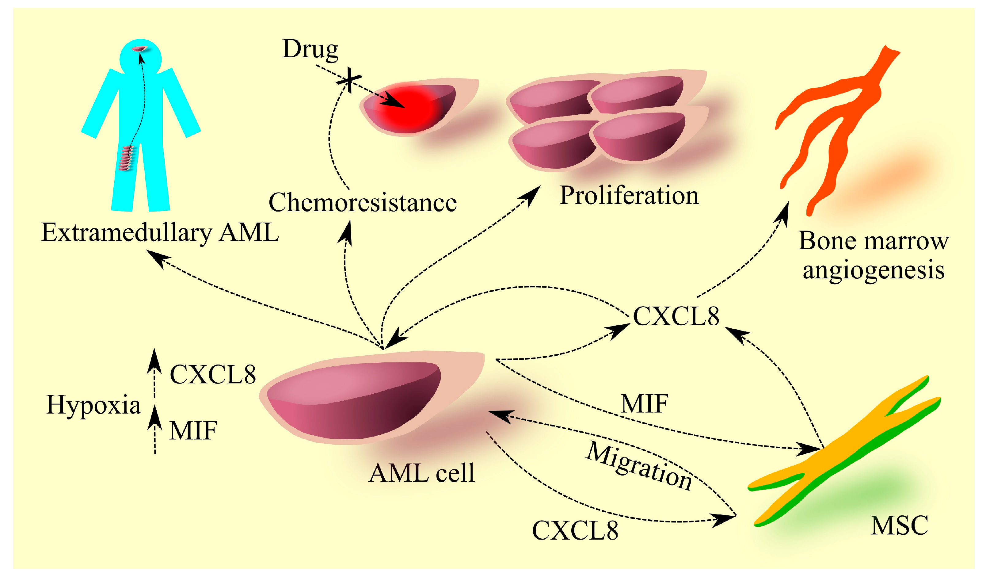 Cancers 15 04555 g001