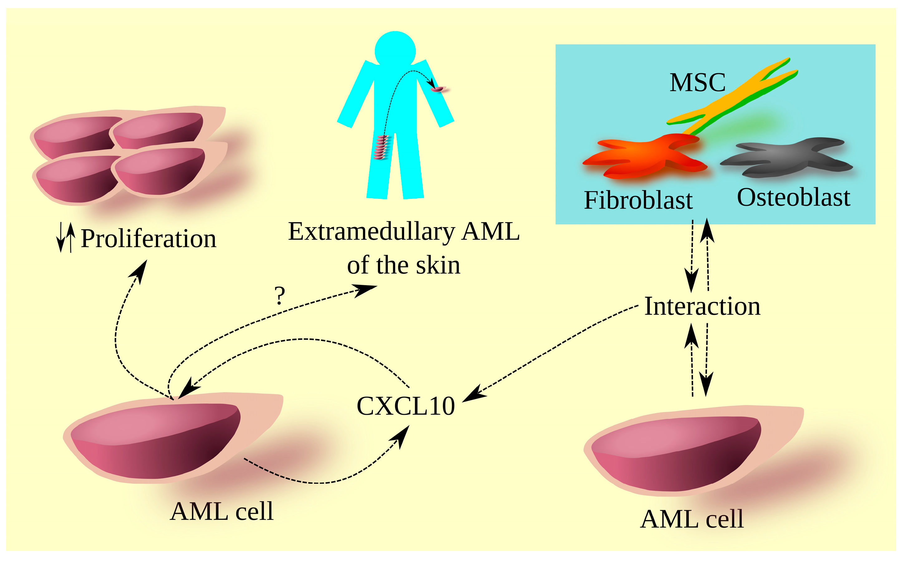 Cancers 15 04555 g002