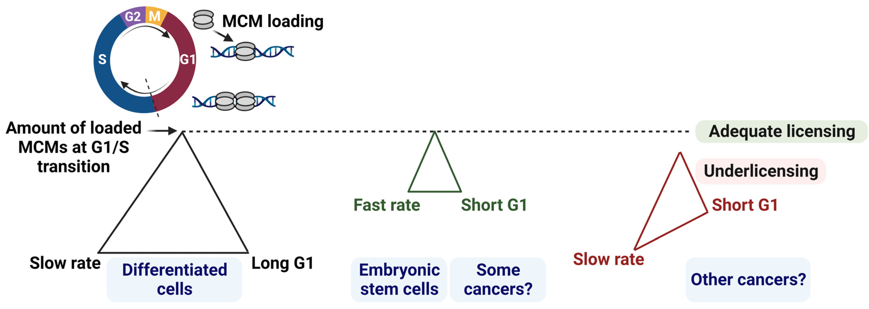 Cancers 15 04559 g001 Cancers 15 04559 g001