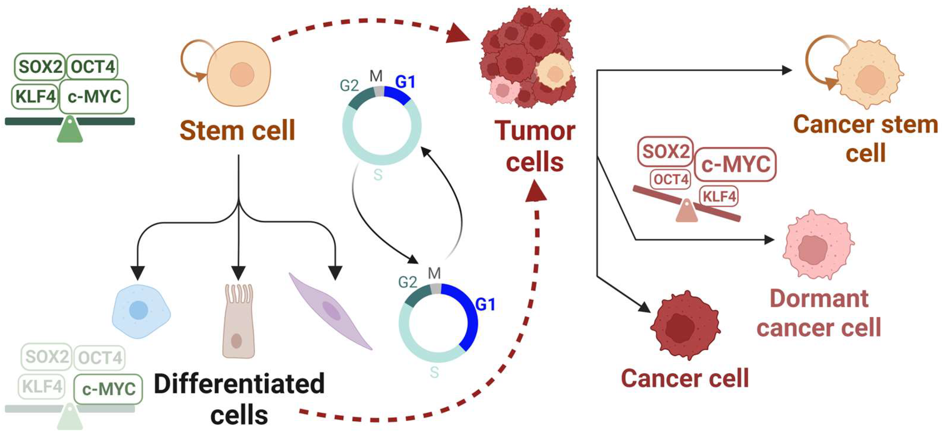Cancers 15 04559 g002 Cancers 15 04559 g002