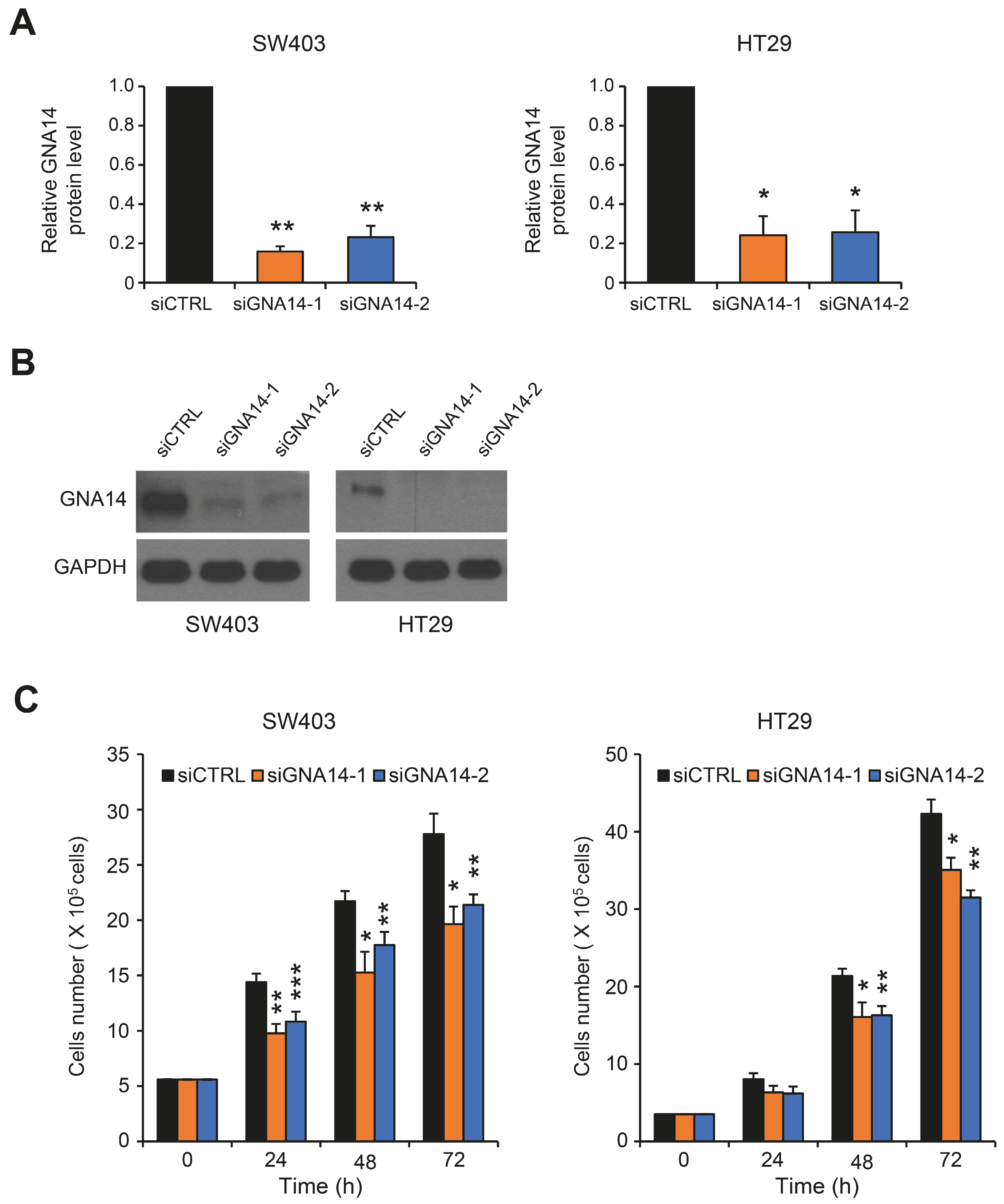 Cancers 15 04572 g001 Cancers 15 04572 g001