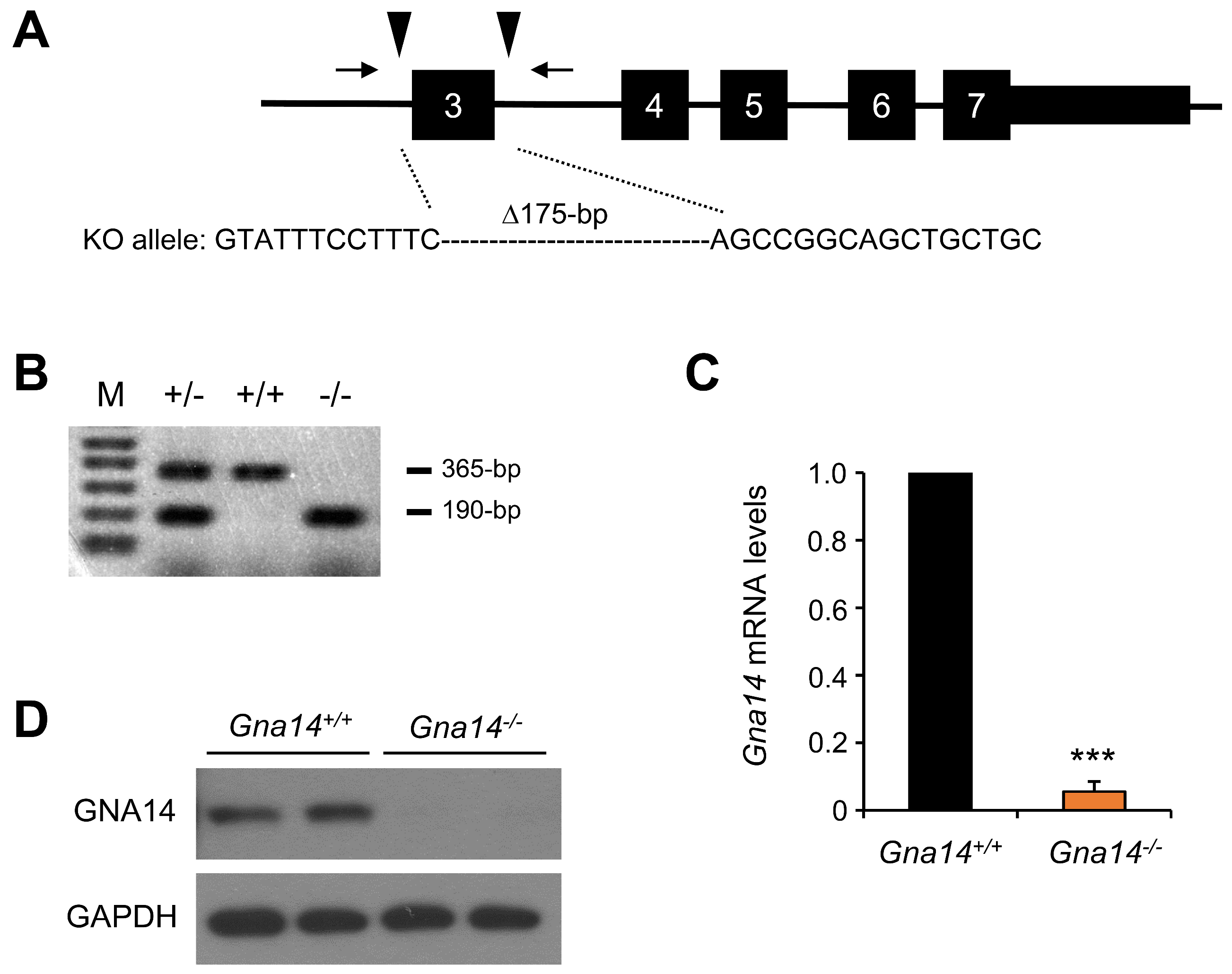 Cancers 15 04572 g002 Cancers 15 04572 g002