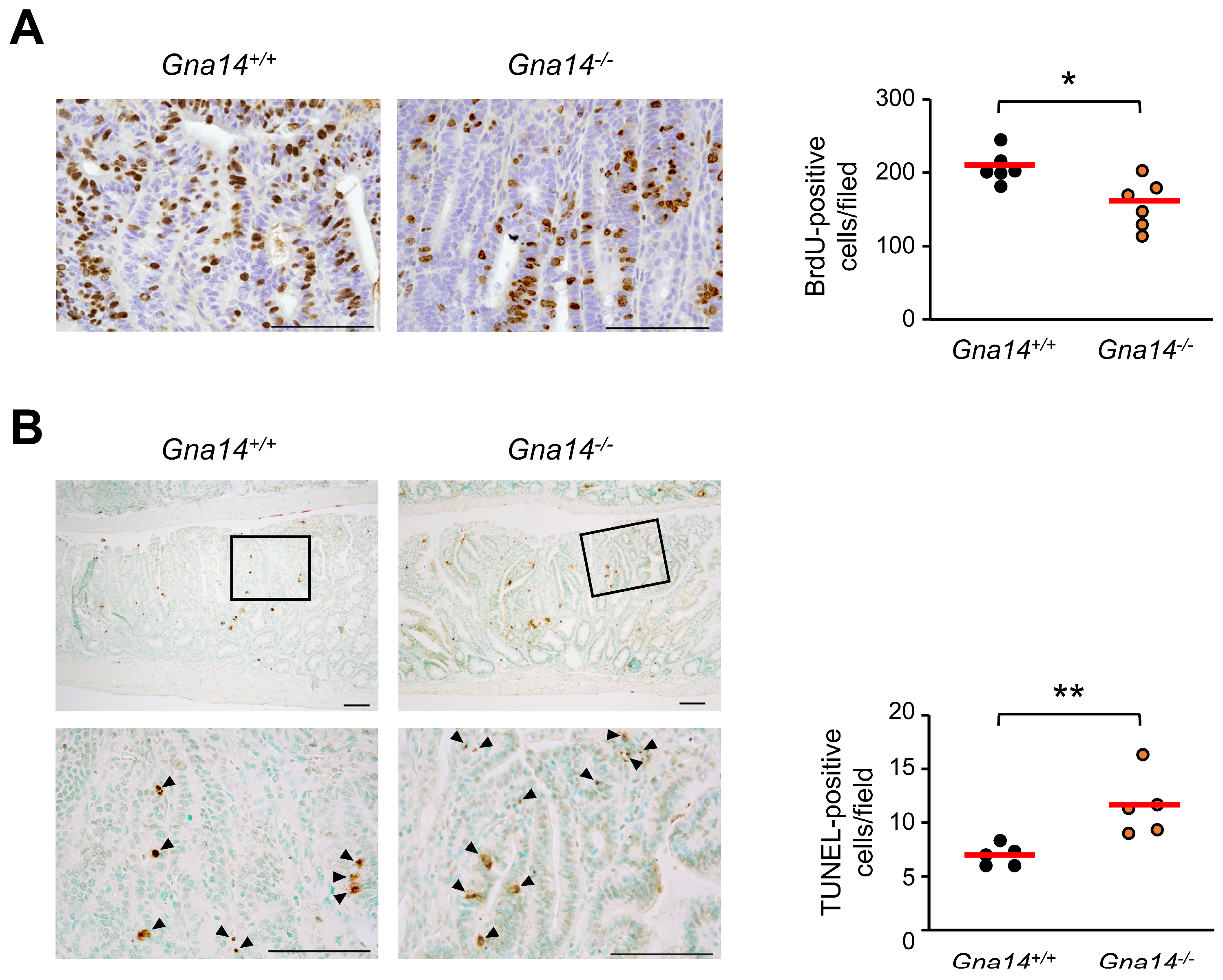 Cancers 15 04572 g005 Cancers 15 04572 g005