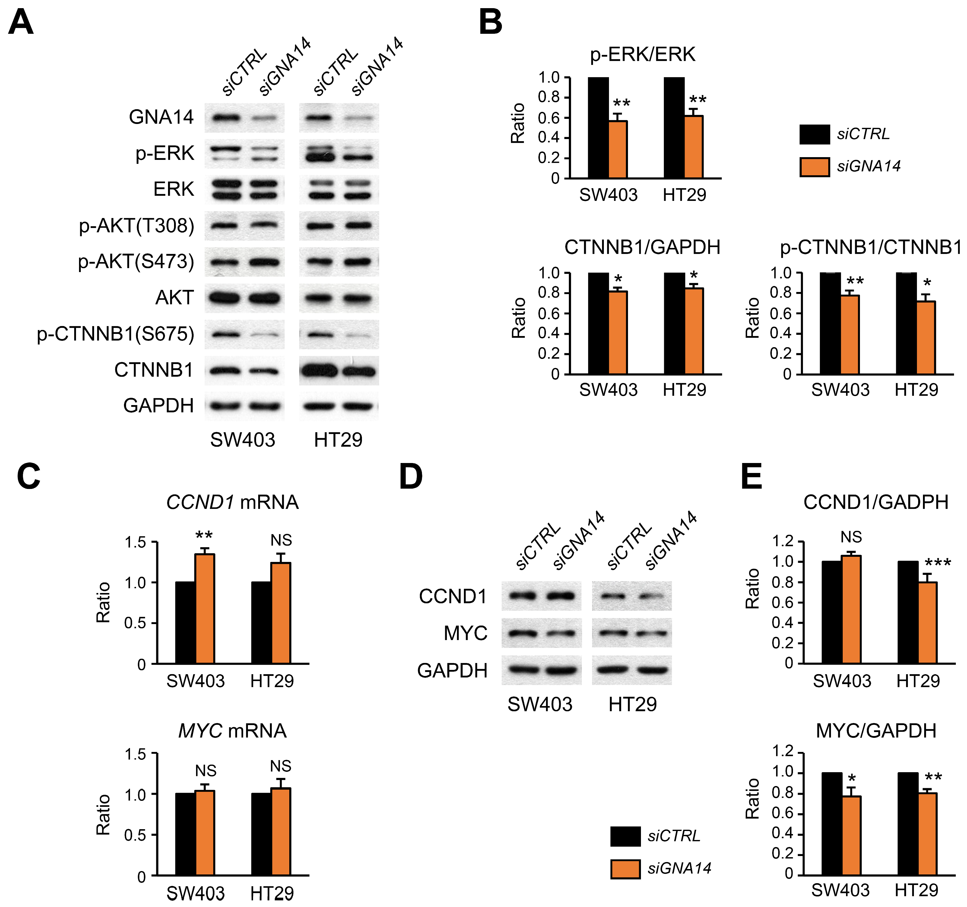 Cancers 15 04572 g006 Cancers 15 04572 g006