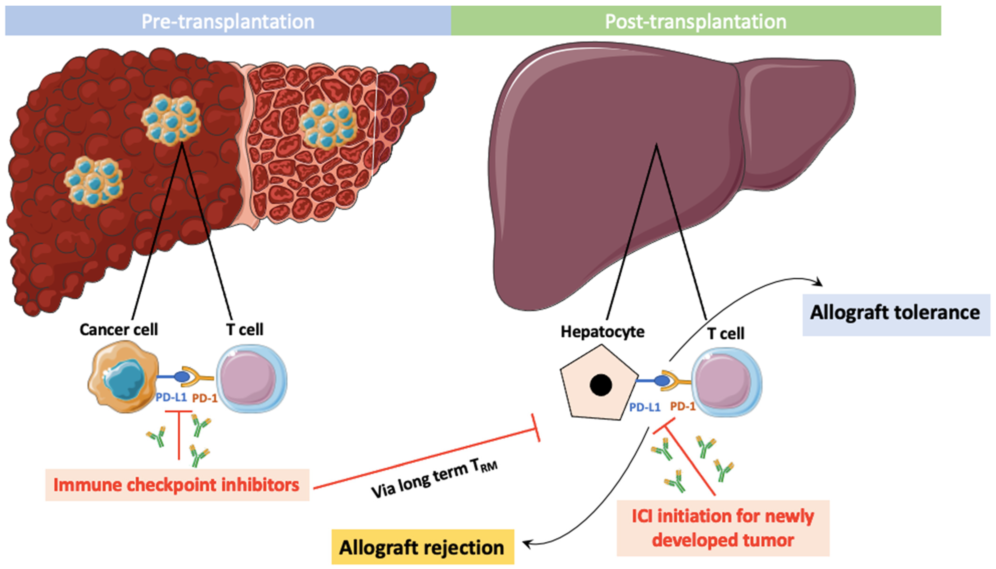 Cancers 15 04574 g001