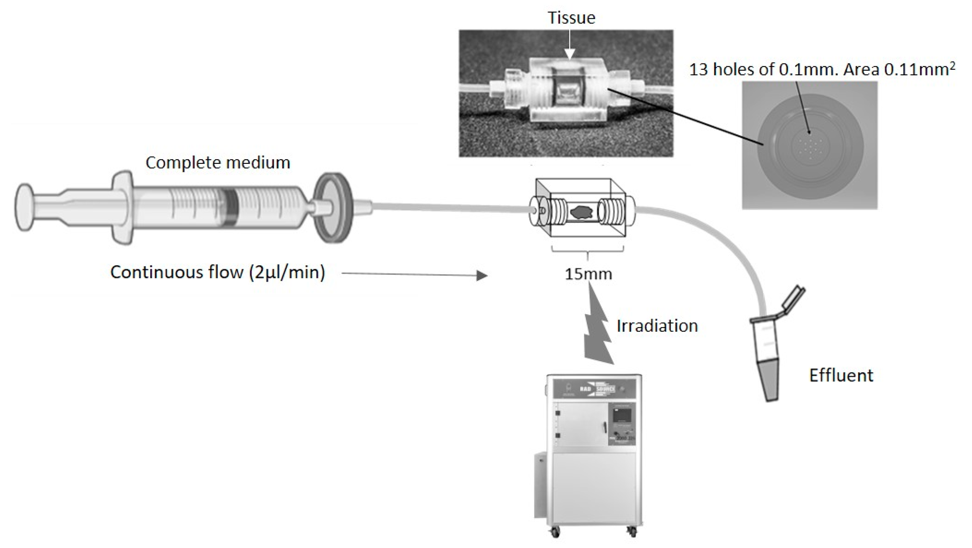 Cancers 15 04575 g001