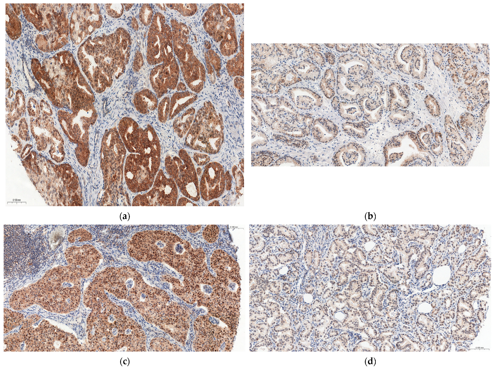 Cancers 15 04578 g001