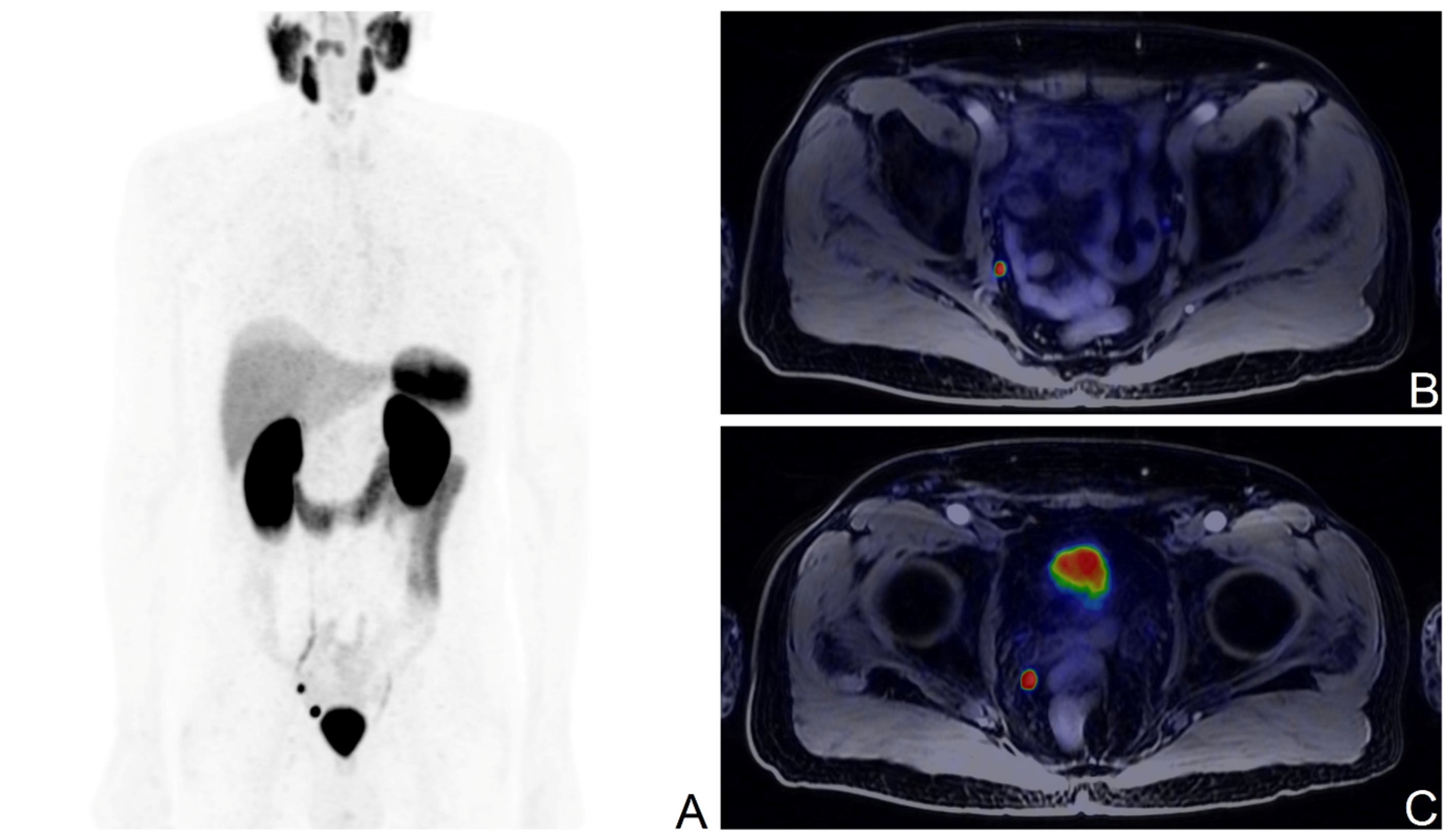 Cancers 15 04589 g001