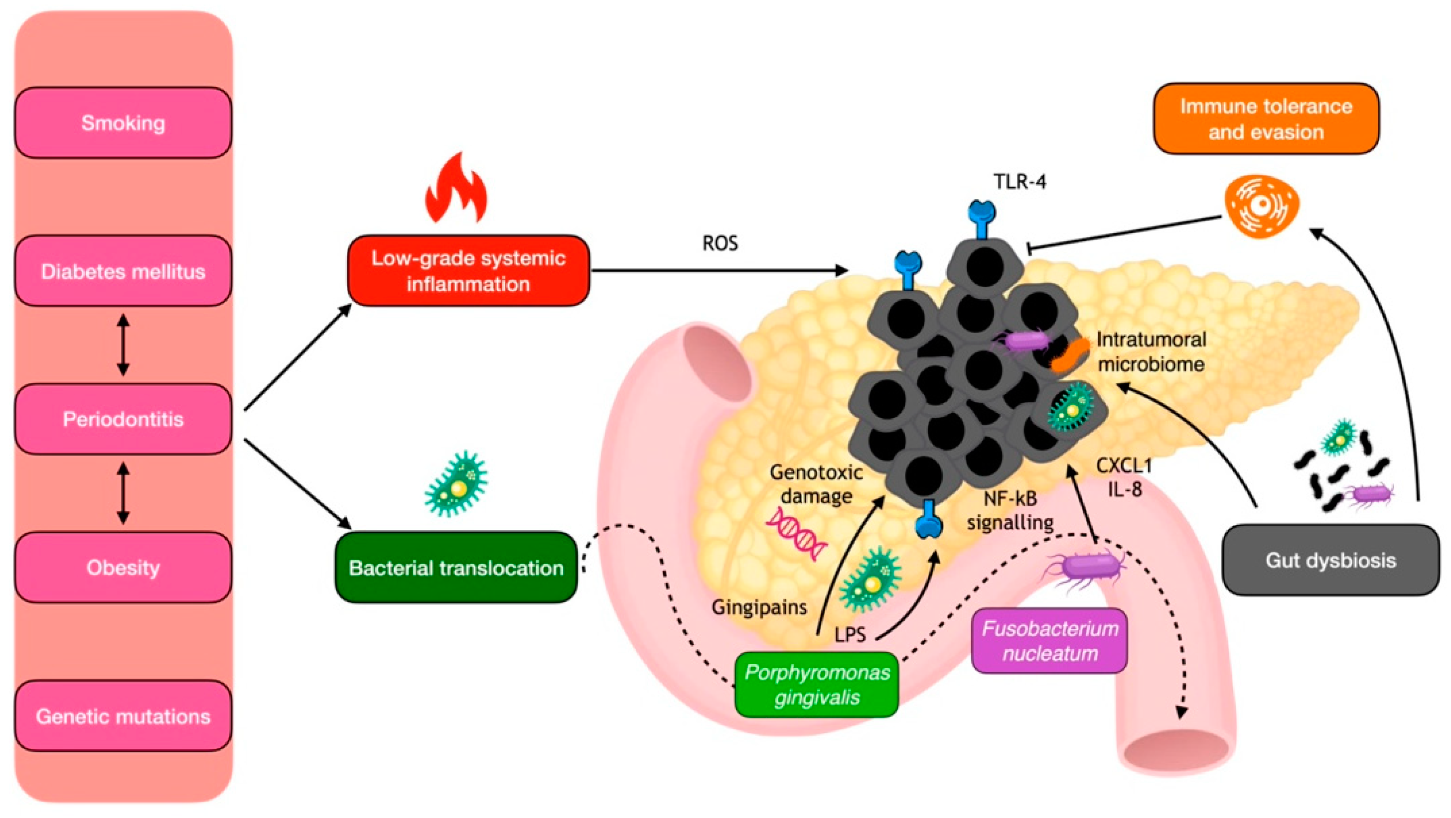Cancers 15 04594 g003