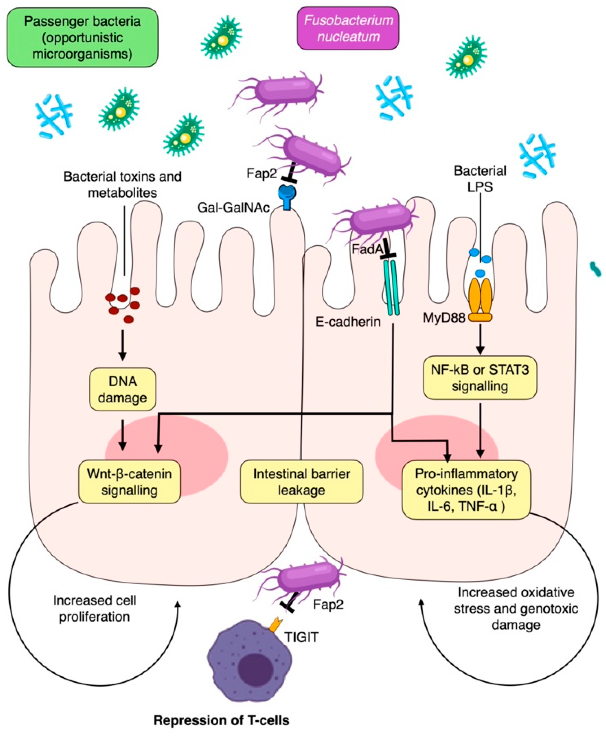 Cancers 15 04594 g004