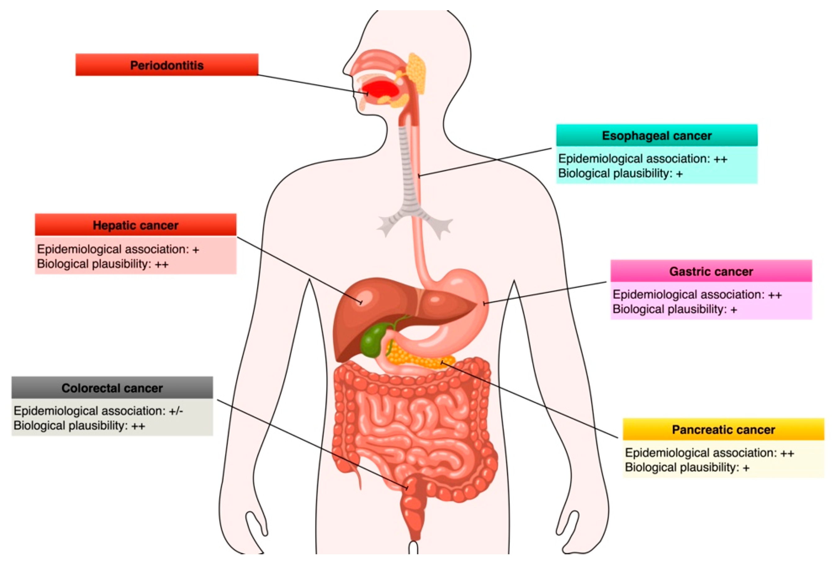 Cancers 15 04594 g005