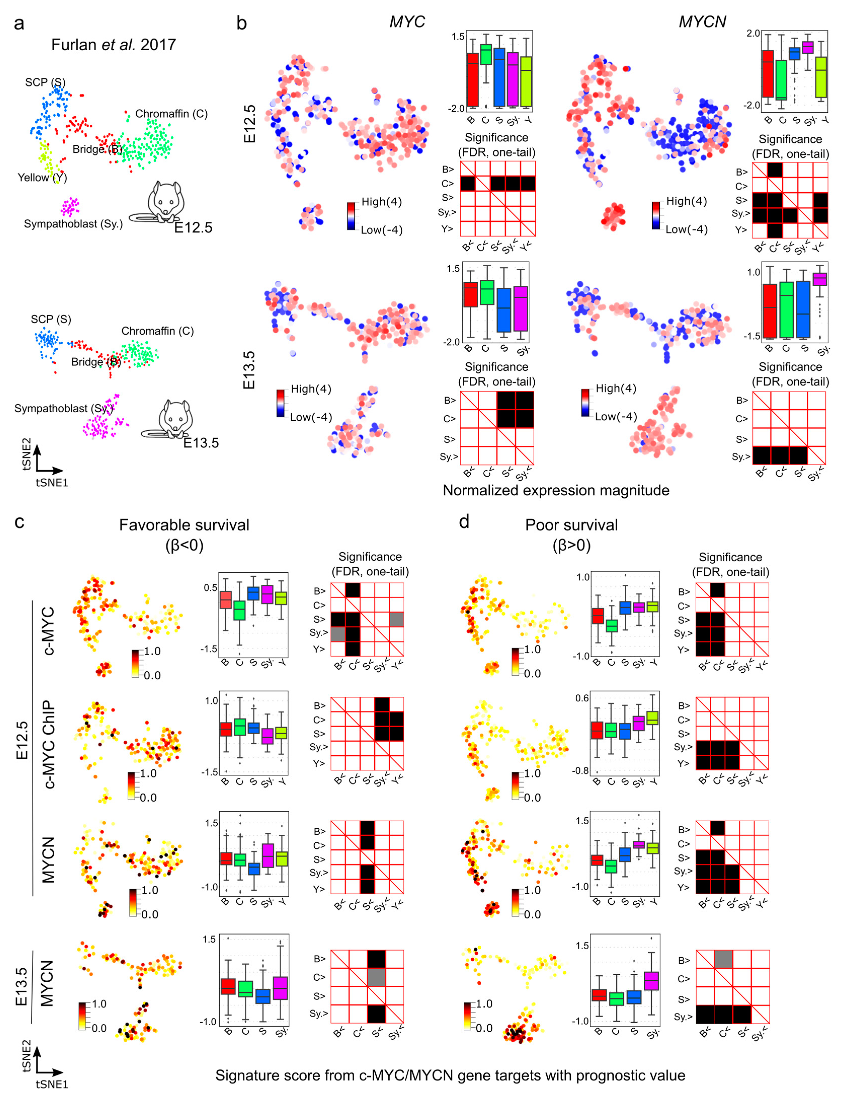 Cancers 15 04599 g006