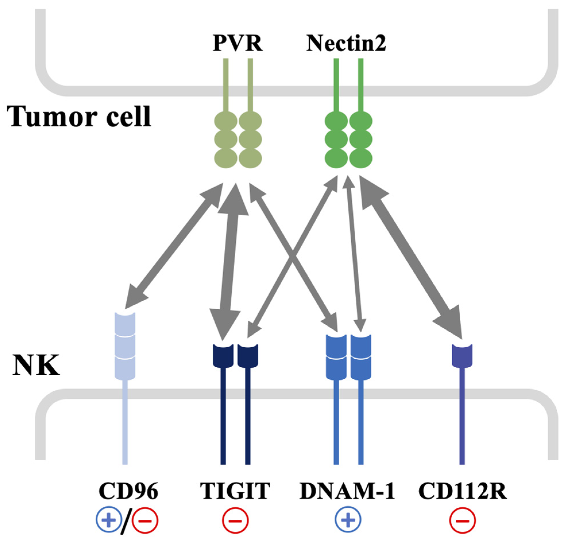 Cancers 15 04616 g001 Cancers 15 04616 g001
