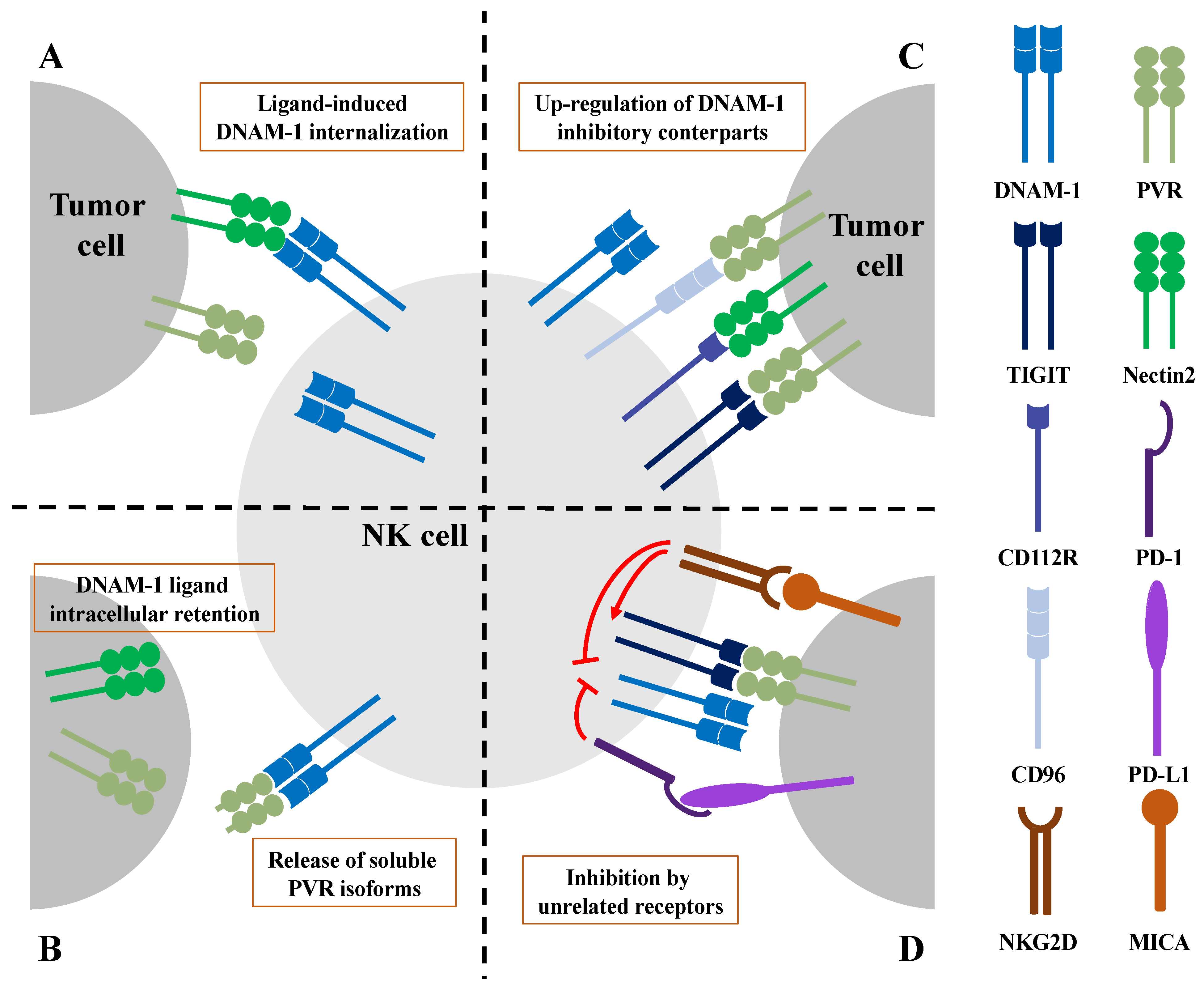 Cancers 15 04616 g002 Cancers 15 04616 g002