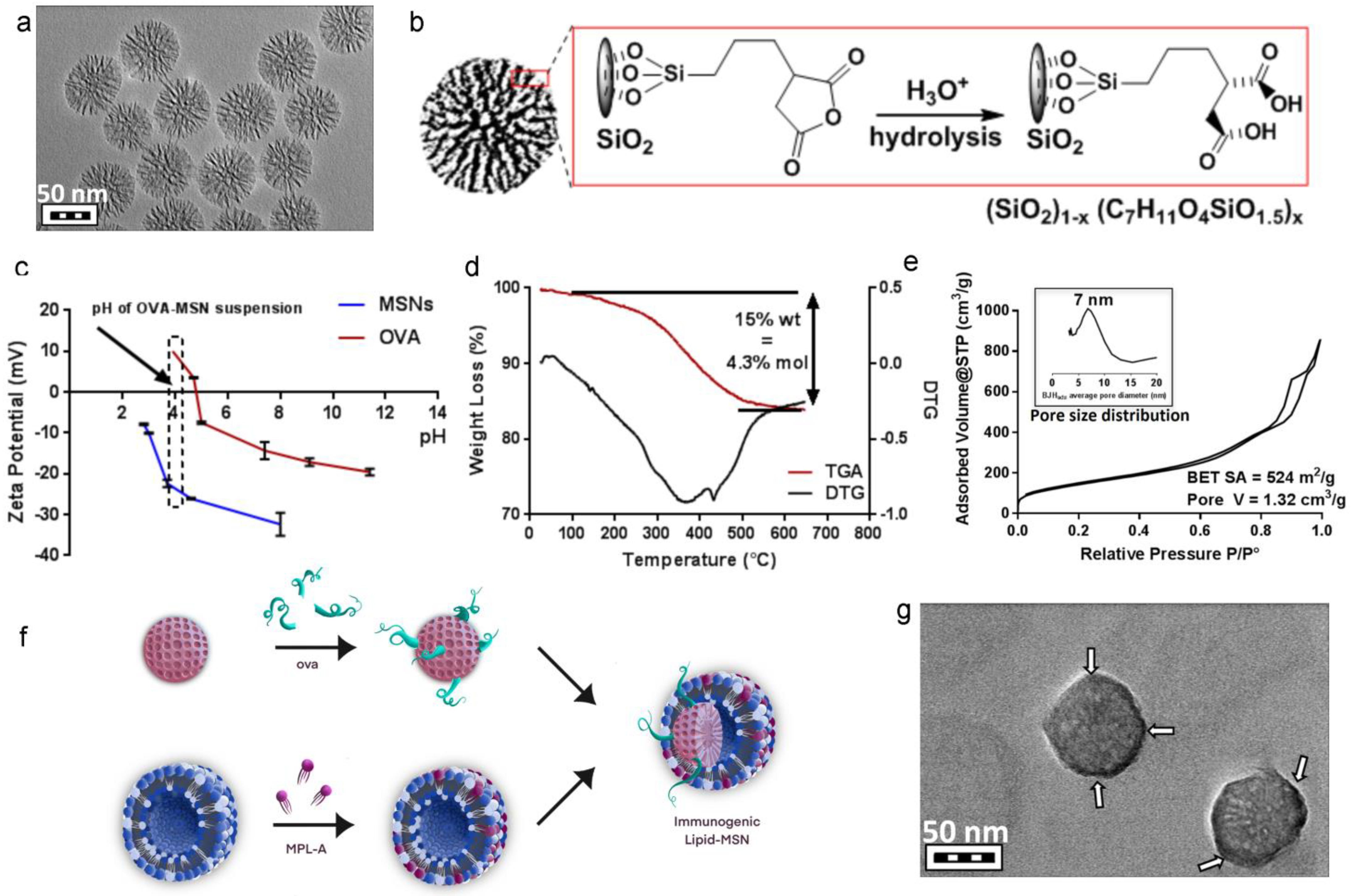 Cancers 15 04626 g001 Cancers 15 04626 g001