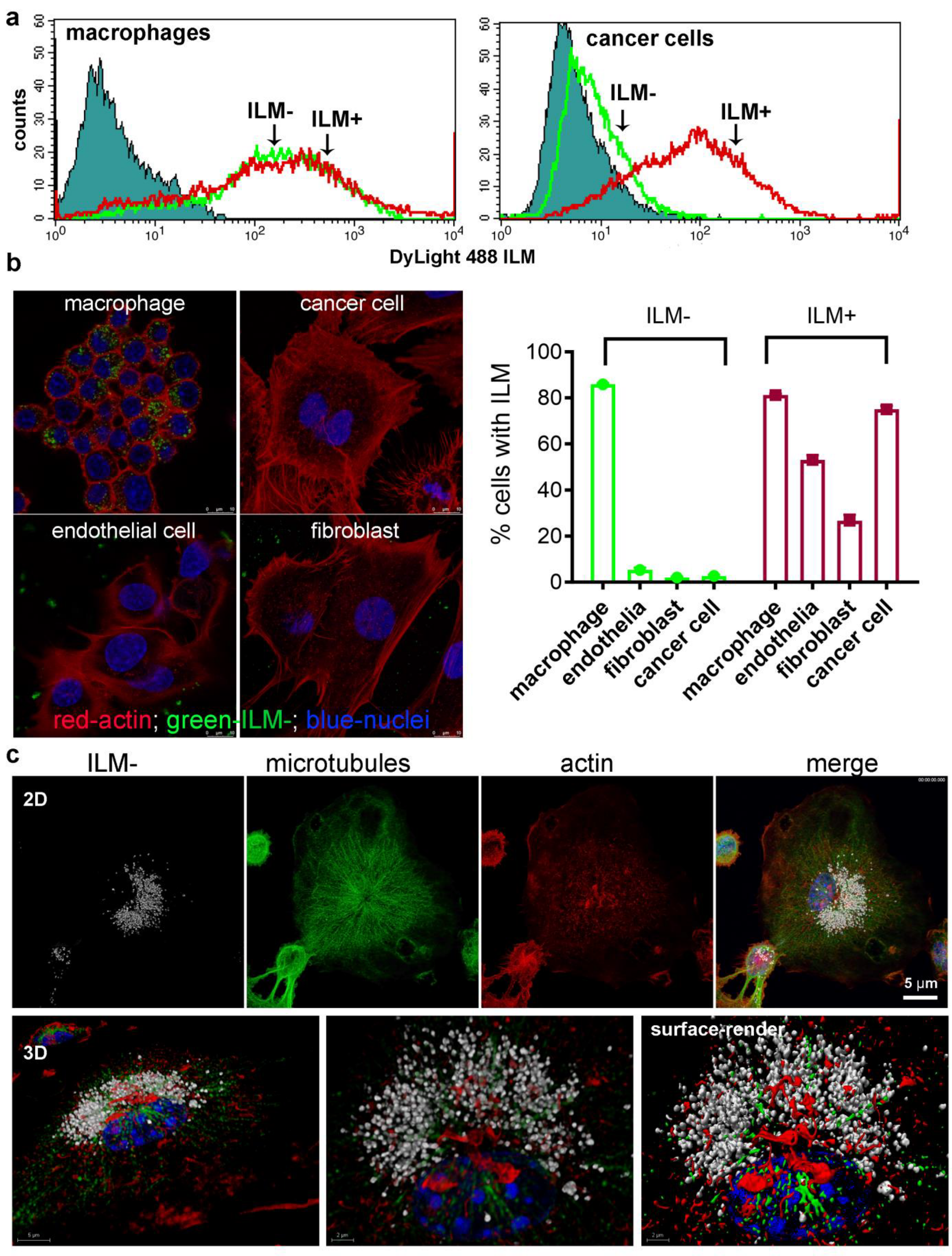 Cancers 15 04626 g003 Cancers 15 04626 g003