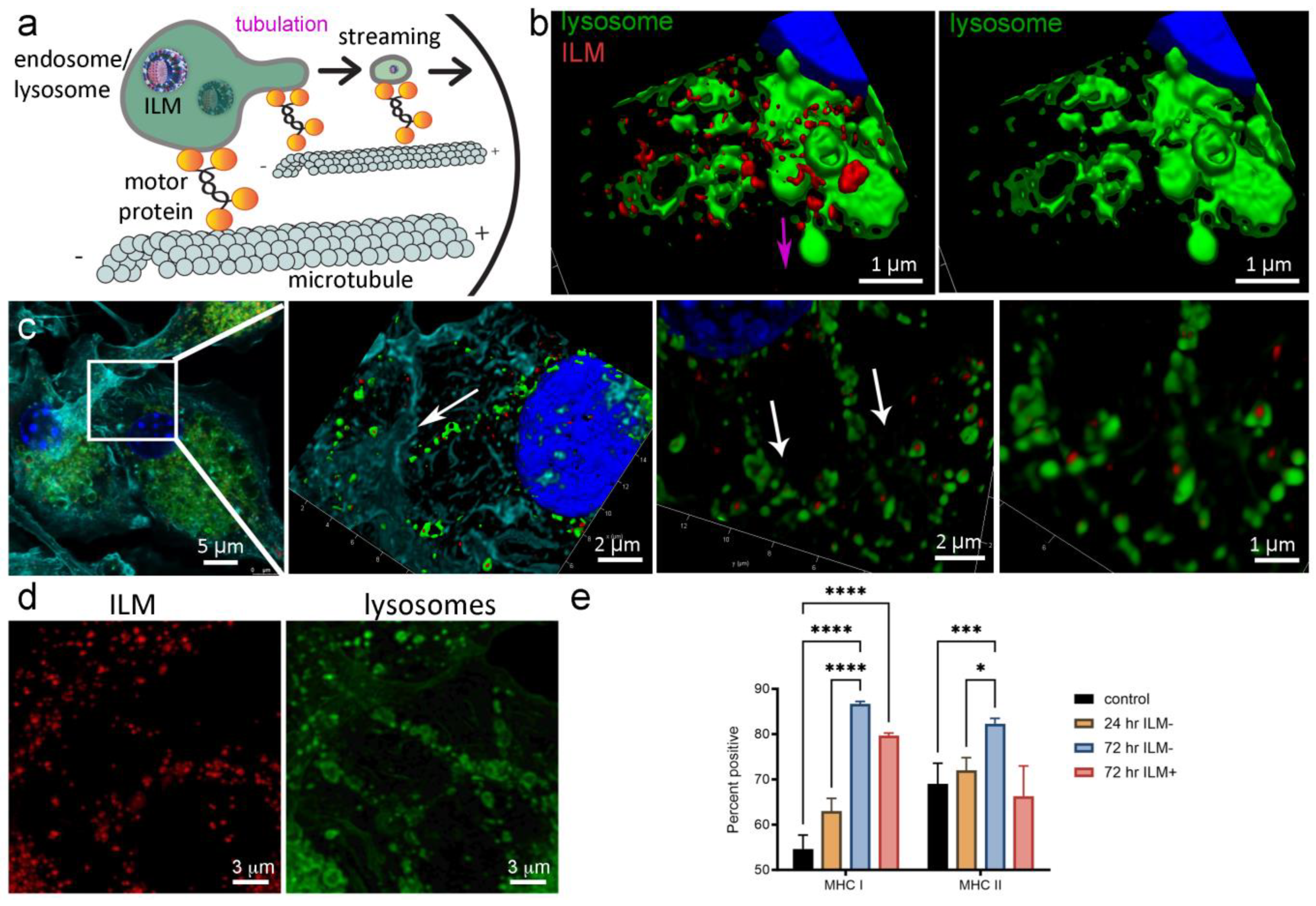 Cancers 15 04626 g004 Cancers 15 04626 g004
