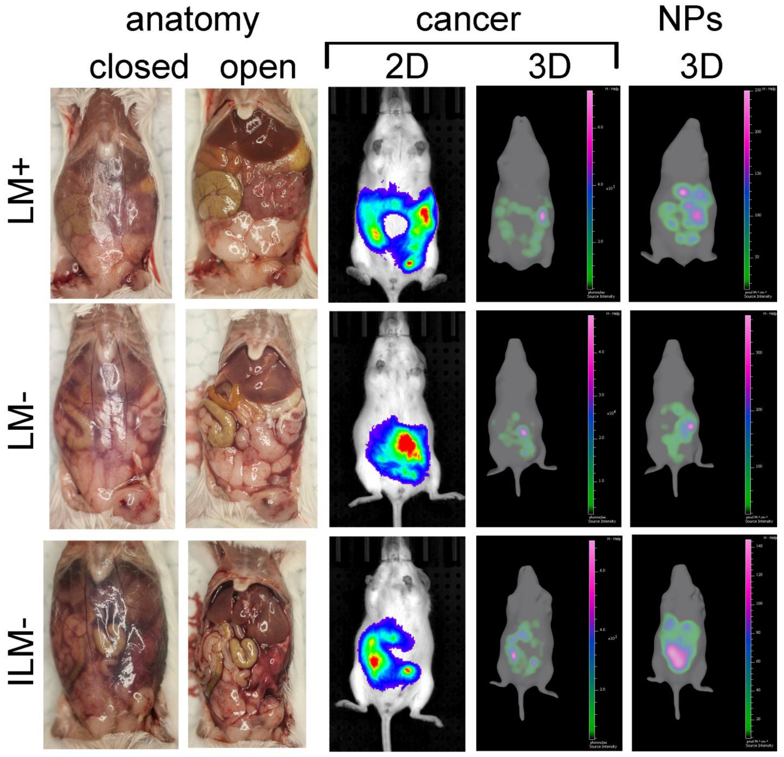 Cancers 15 04626 g005 Cancers 15 04626 g005