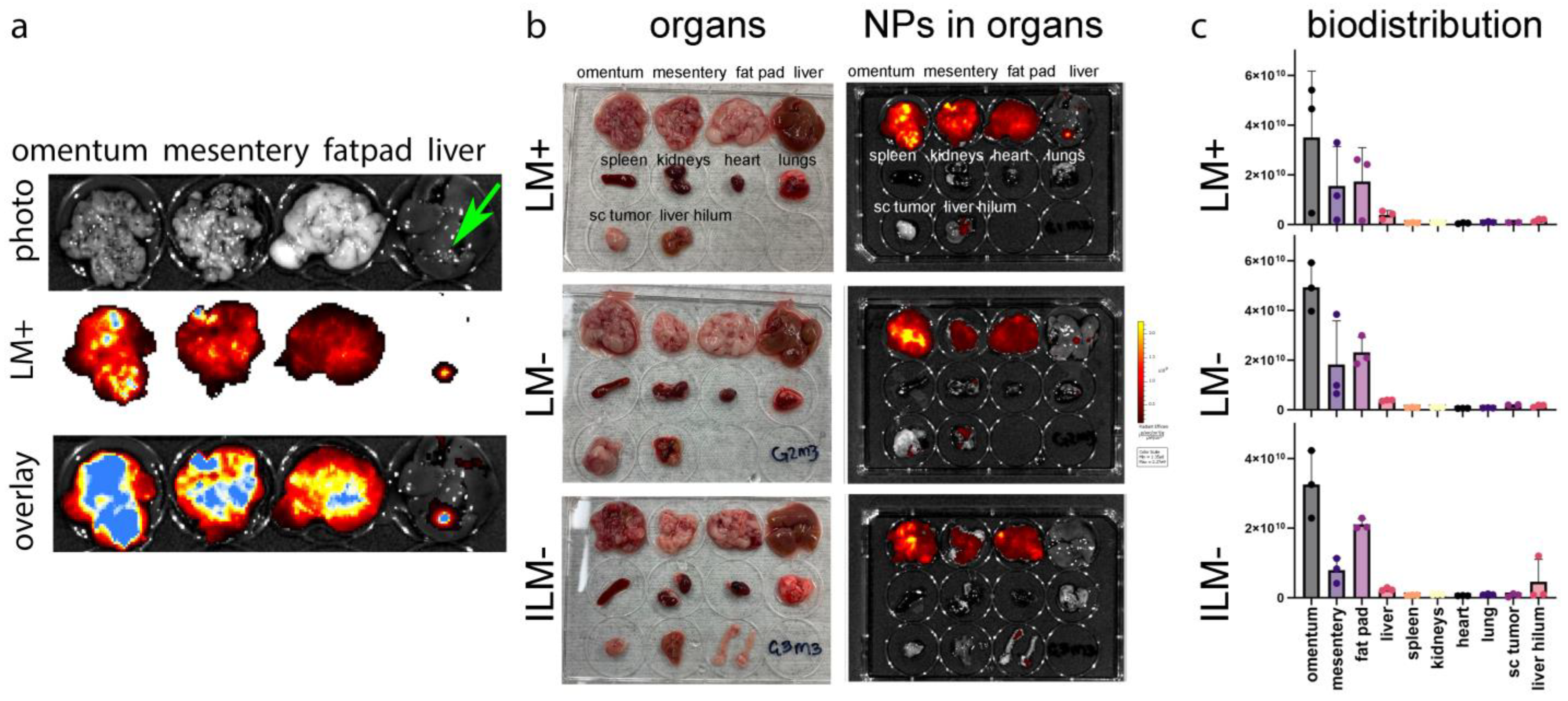 Cancers 15 04626 g006 Cancers 15 04626 g006