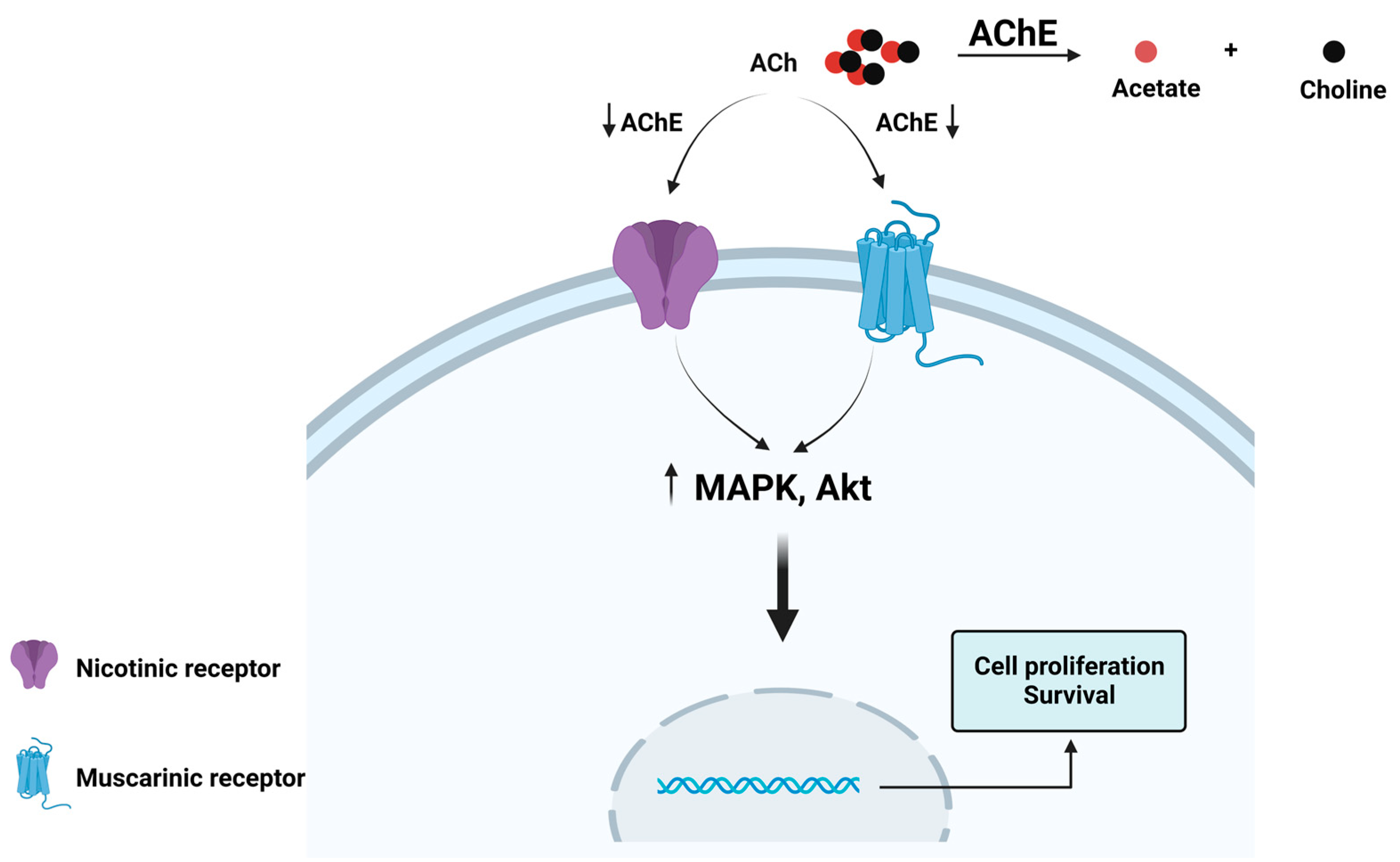 Cancers 15 04629 g003 Cancers 15 04629 g003