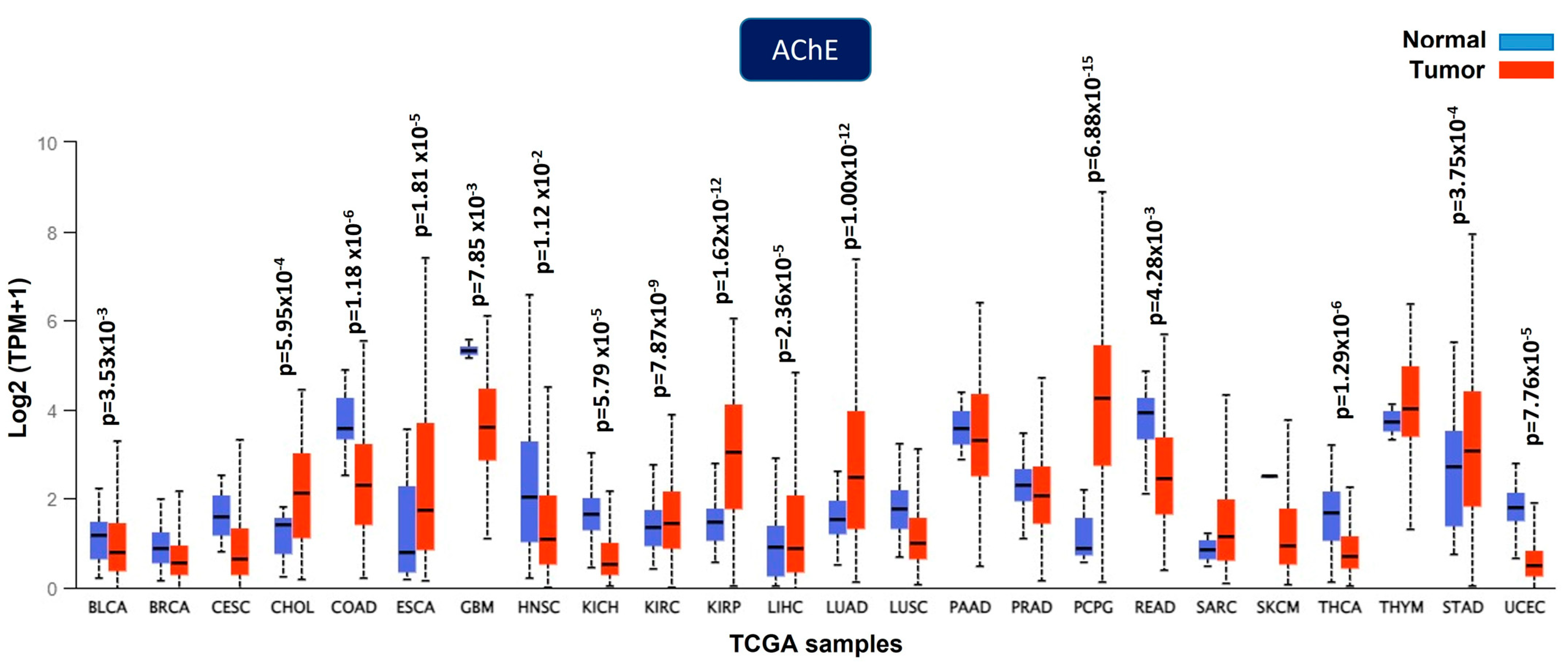 Cancers 15 04629 g005 Cancers 15 04629 g005