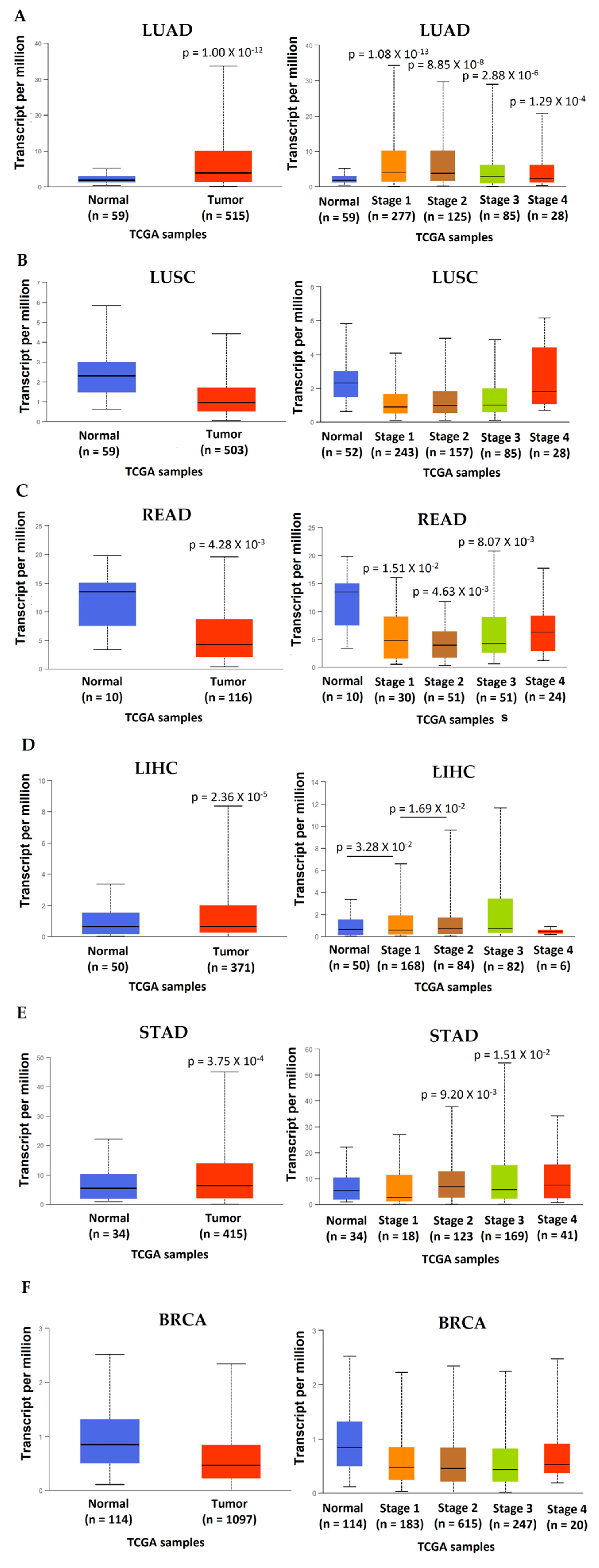 Cancers 15 04629 g006 Cancers 15 04629 g006