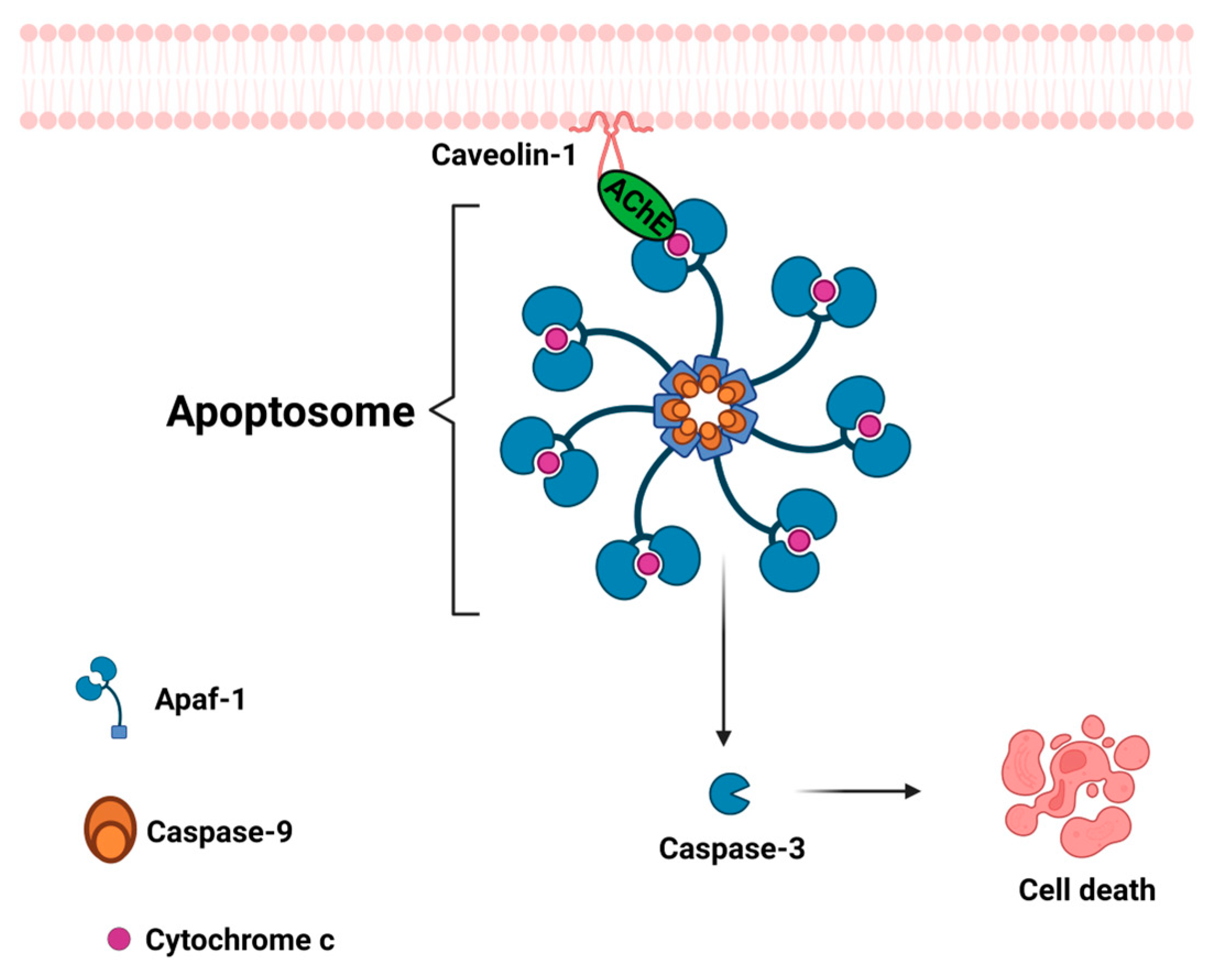 Cancers 15 04629 g008 Cancers 15 04629 g008