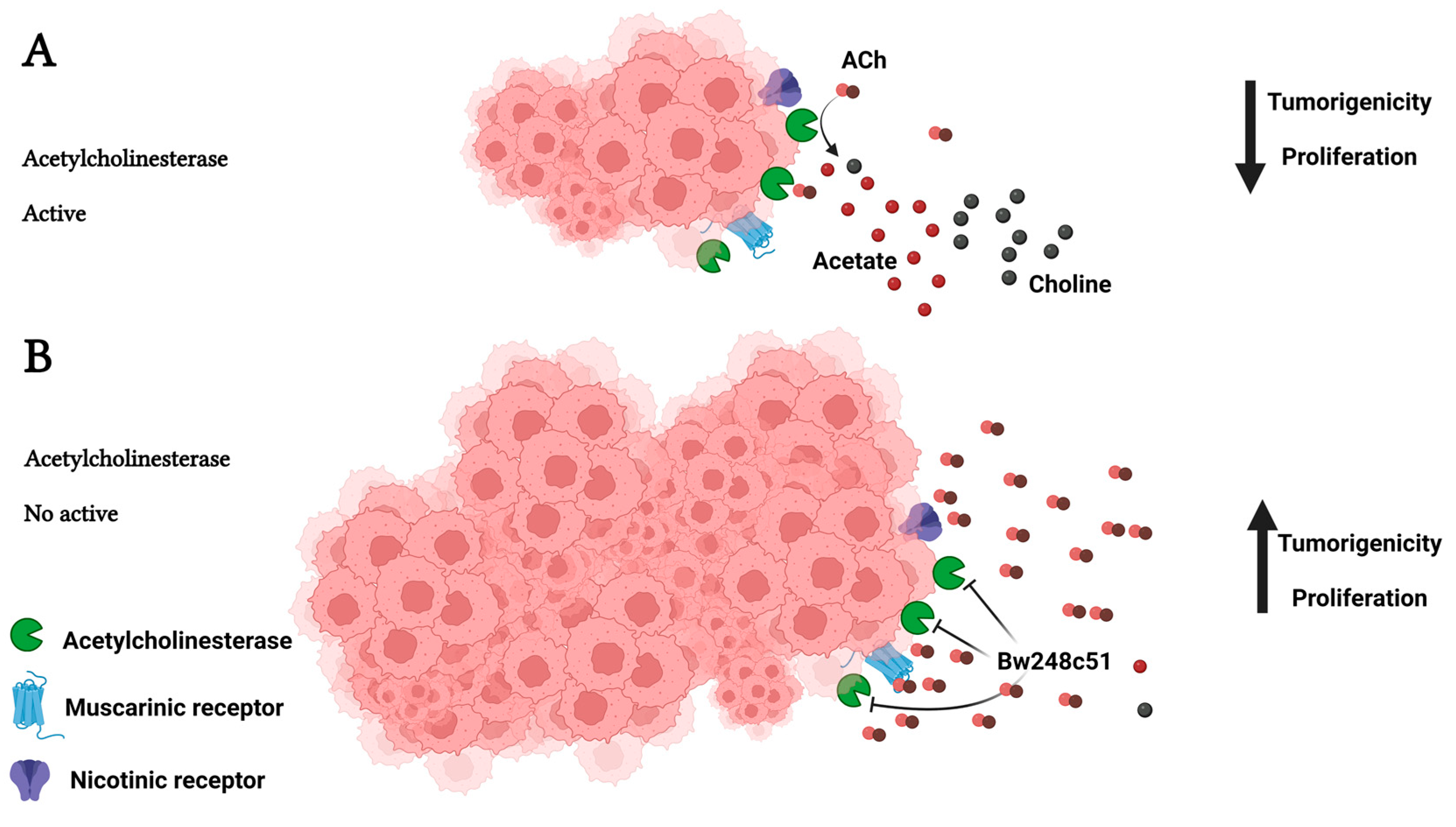 Cancers 15 04629 g009 Cancers 15 04629 g009