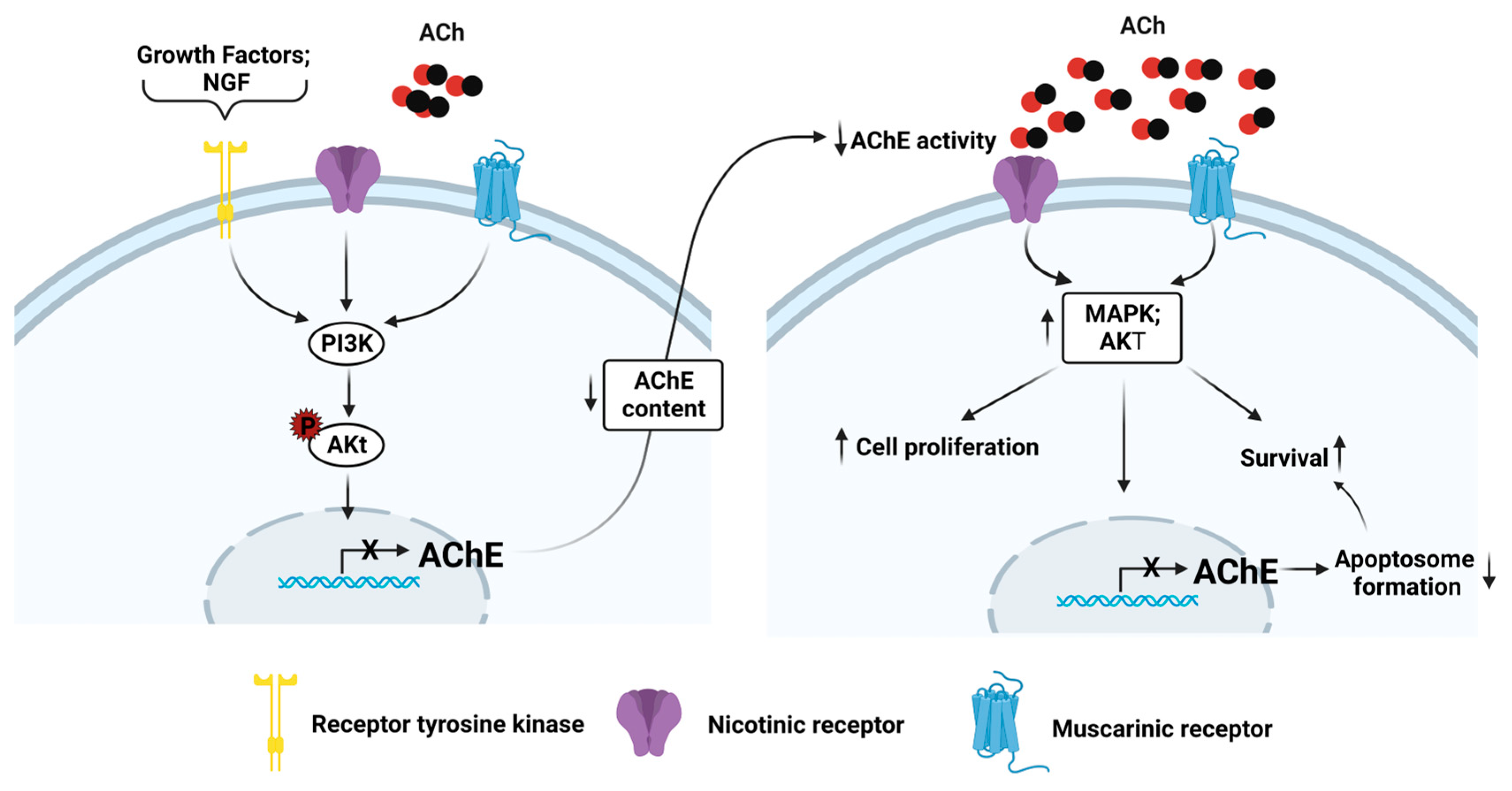 Cancers 15 04629 g010 Cancers 15 04629 g010