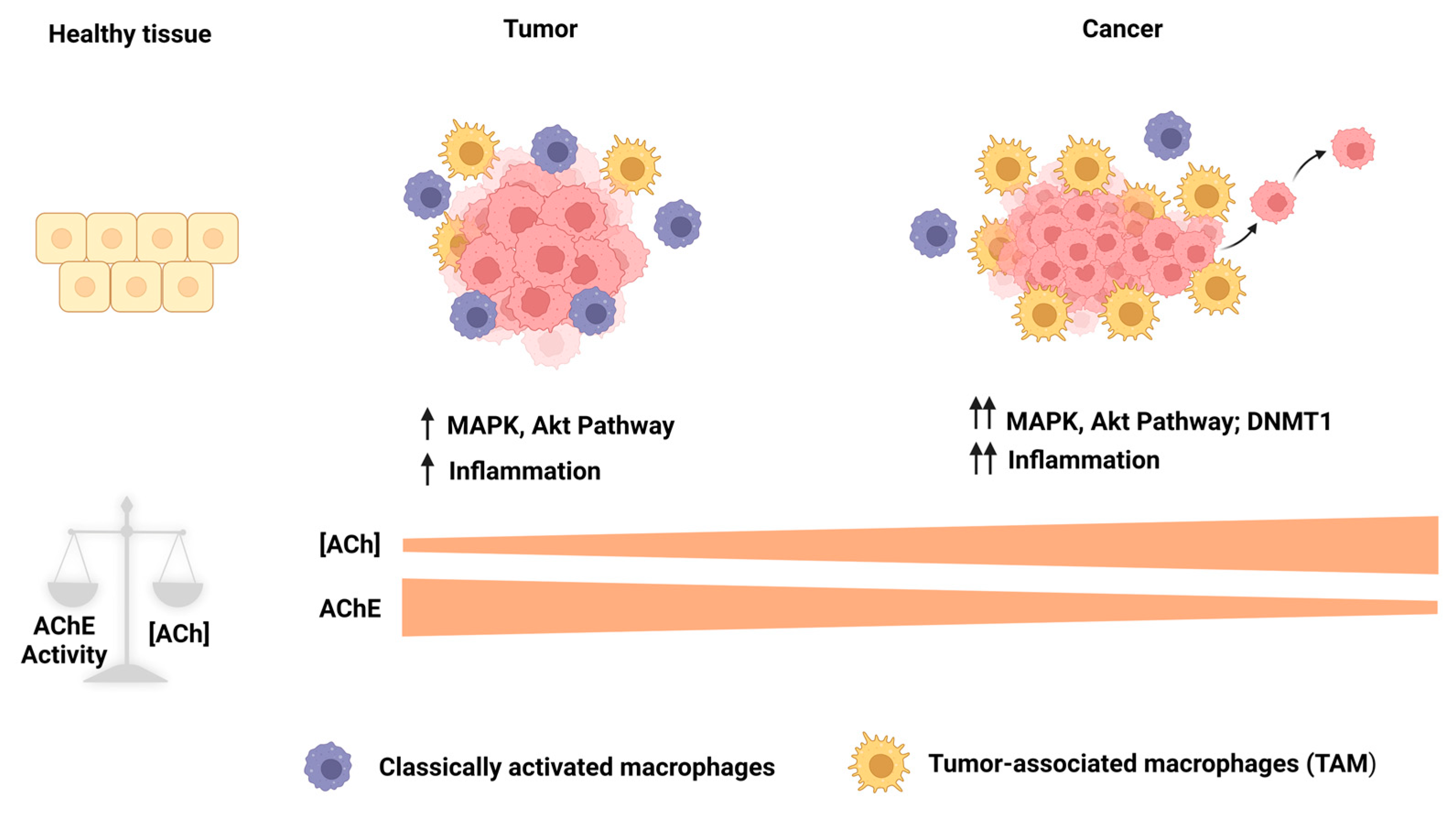 Cancers 15 04629 g012 Cancers 15 04629 g012