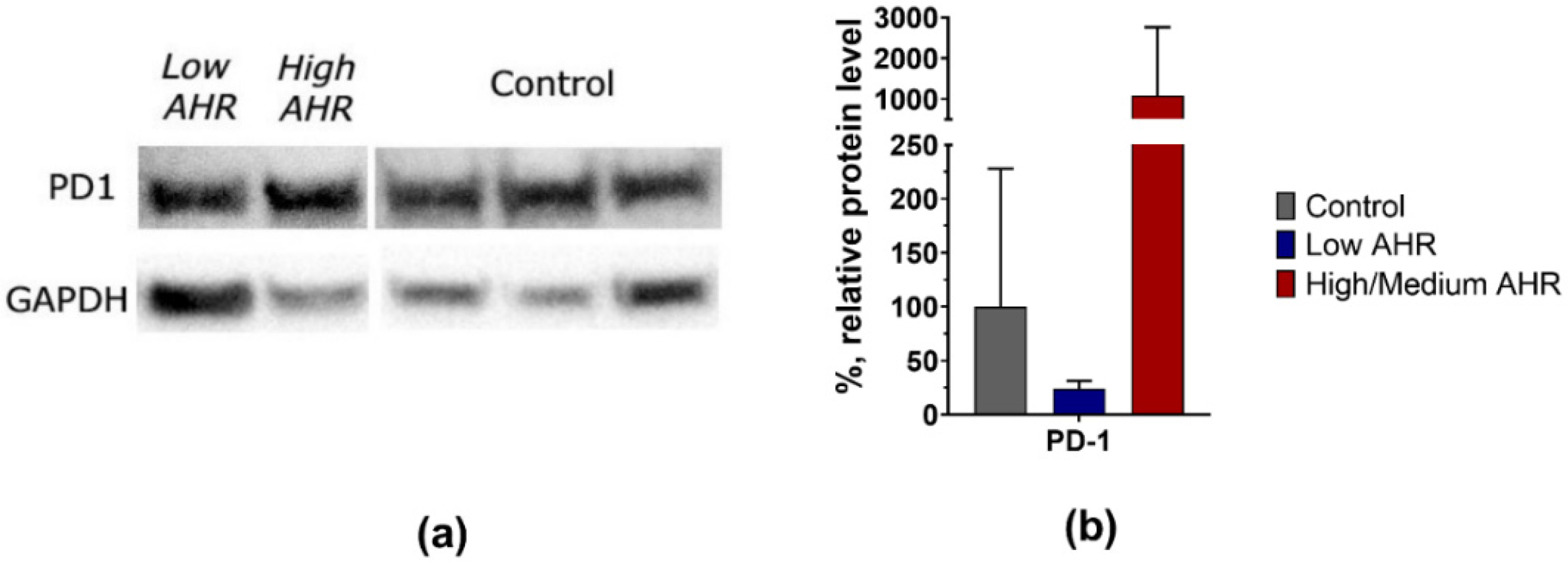 Cancers 15 04639 g008
