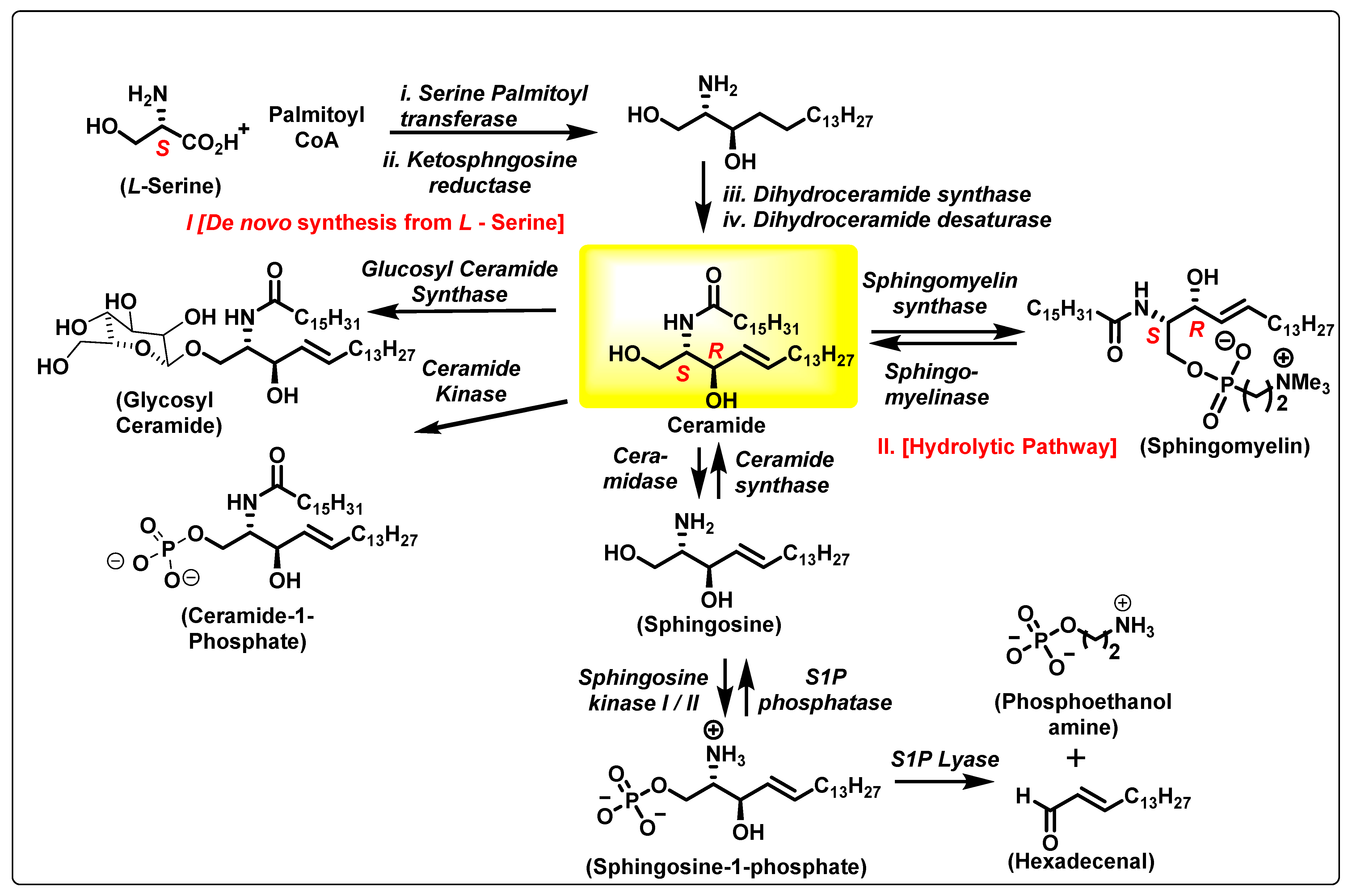 Cancers 15 04645 g001 Cancers 15 04645 g001