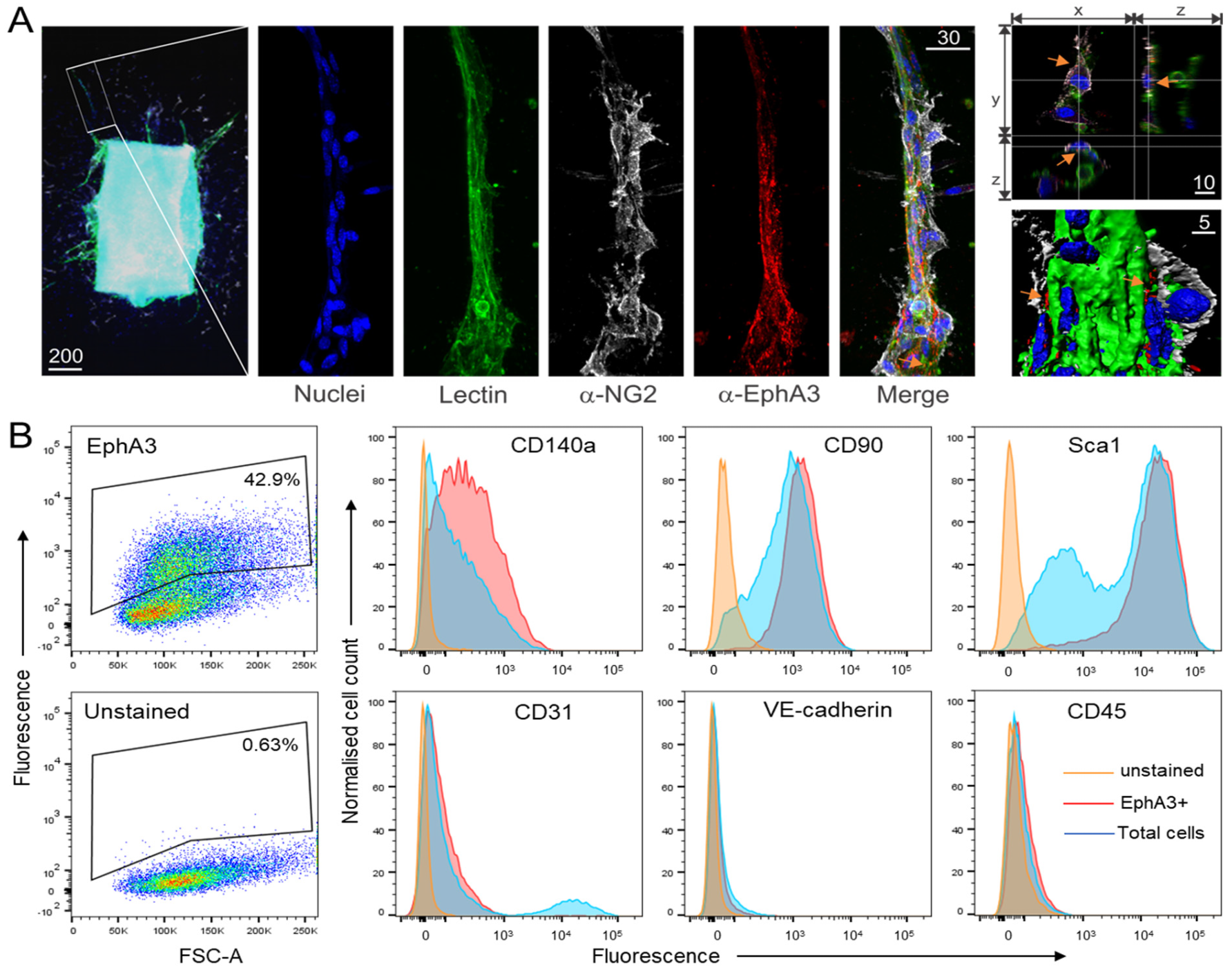 Cancers 15 04646 g001