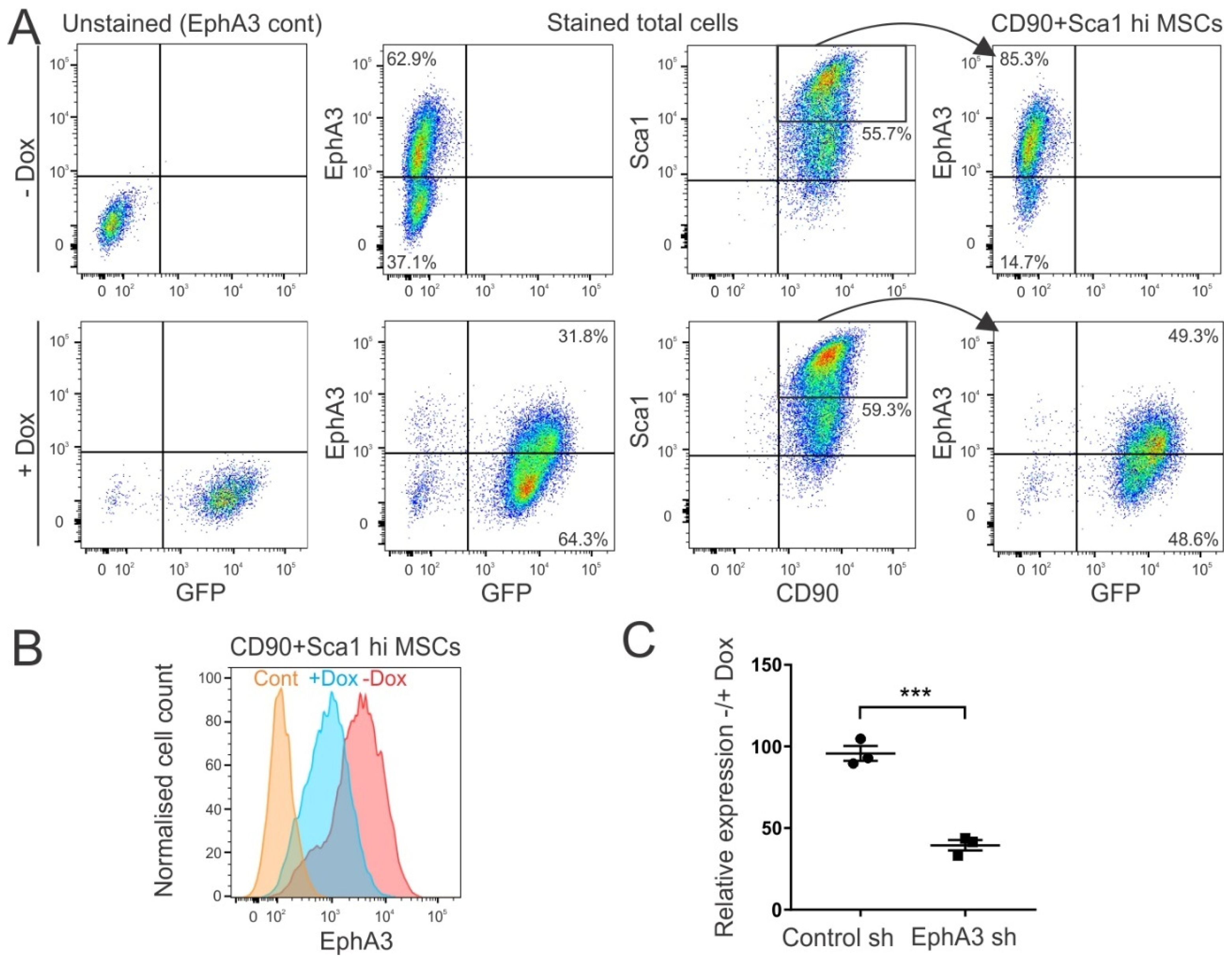 Cancers 15 04646 g002
