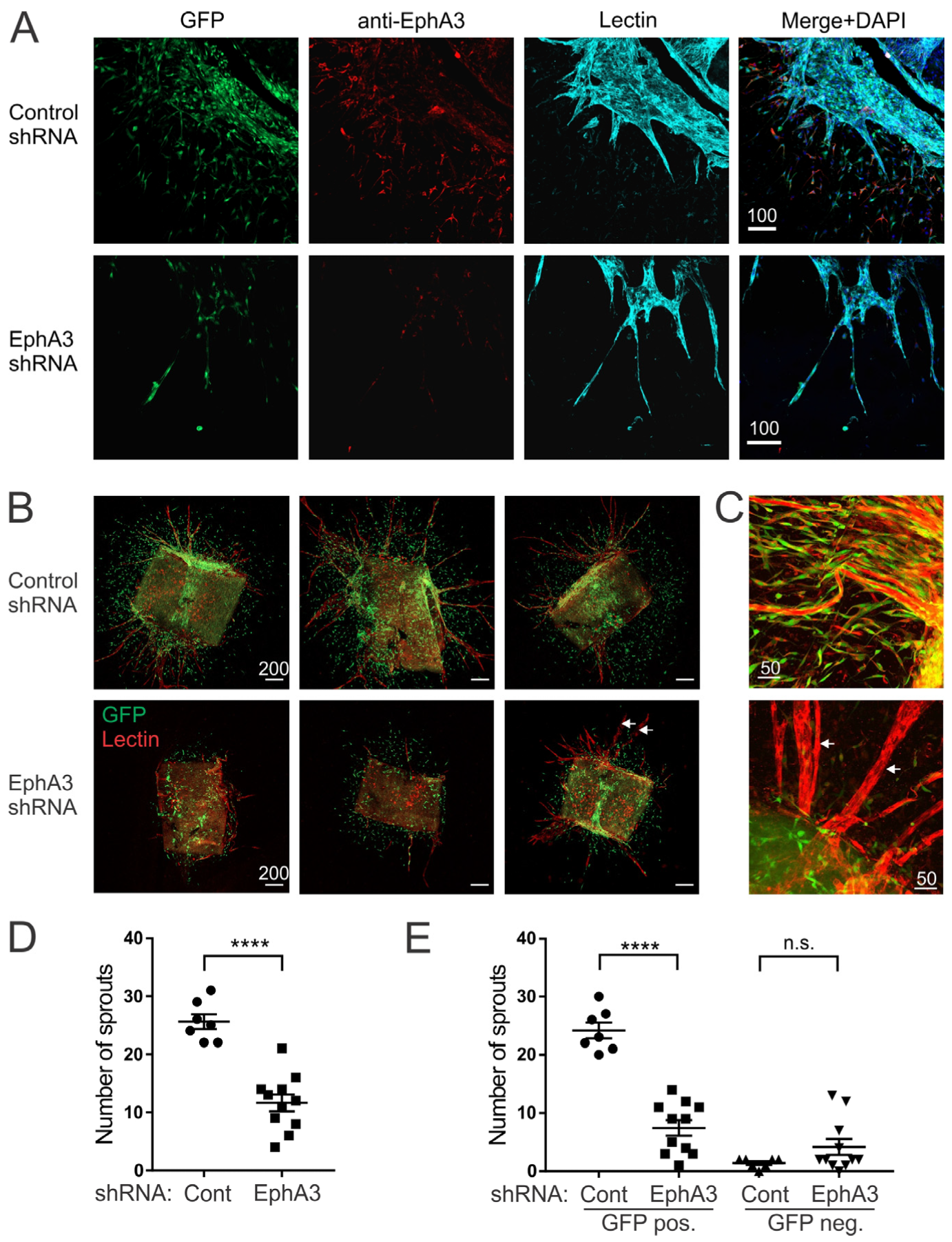 Cancers 15 04646 g003