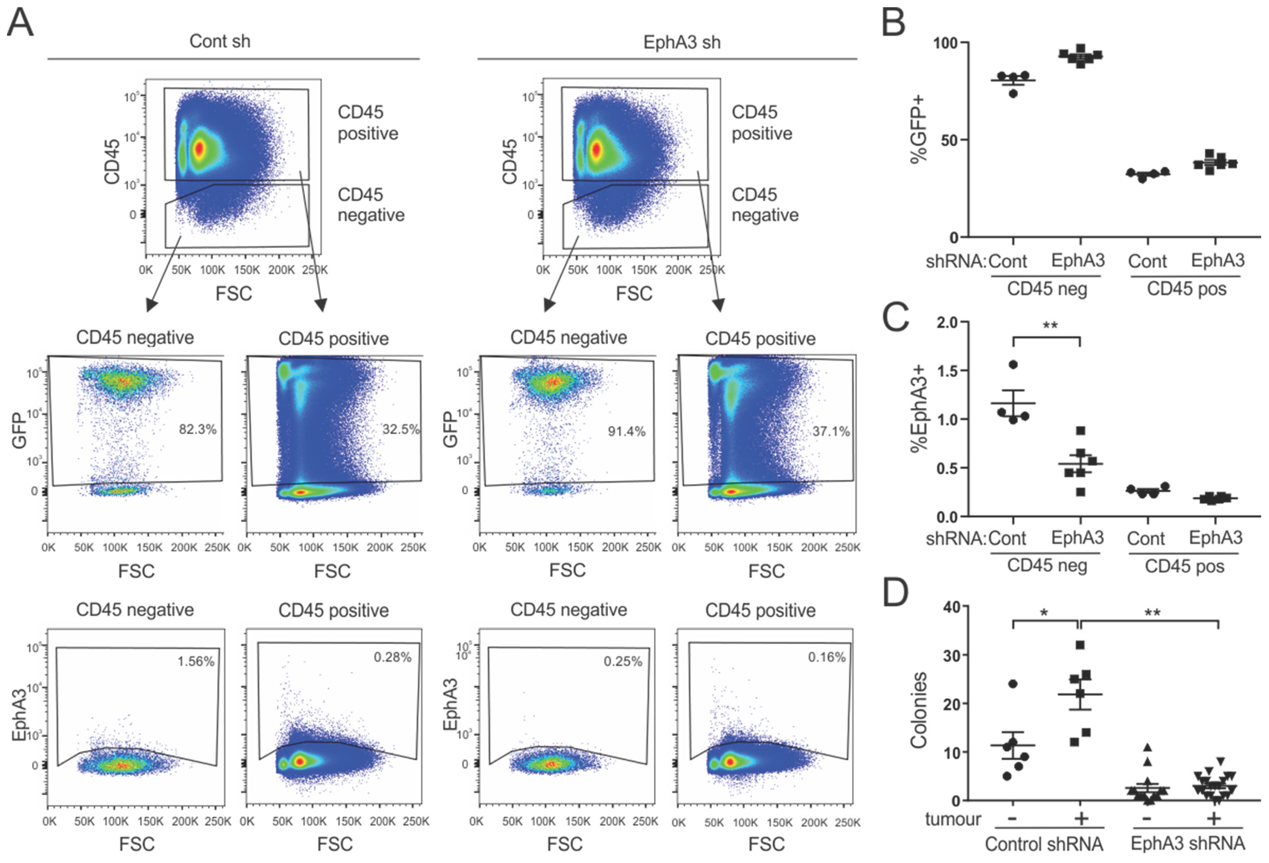 Cancers 15 04646 g004