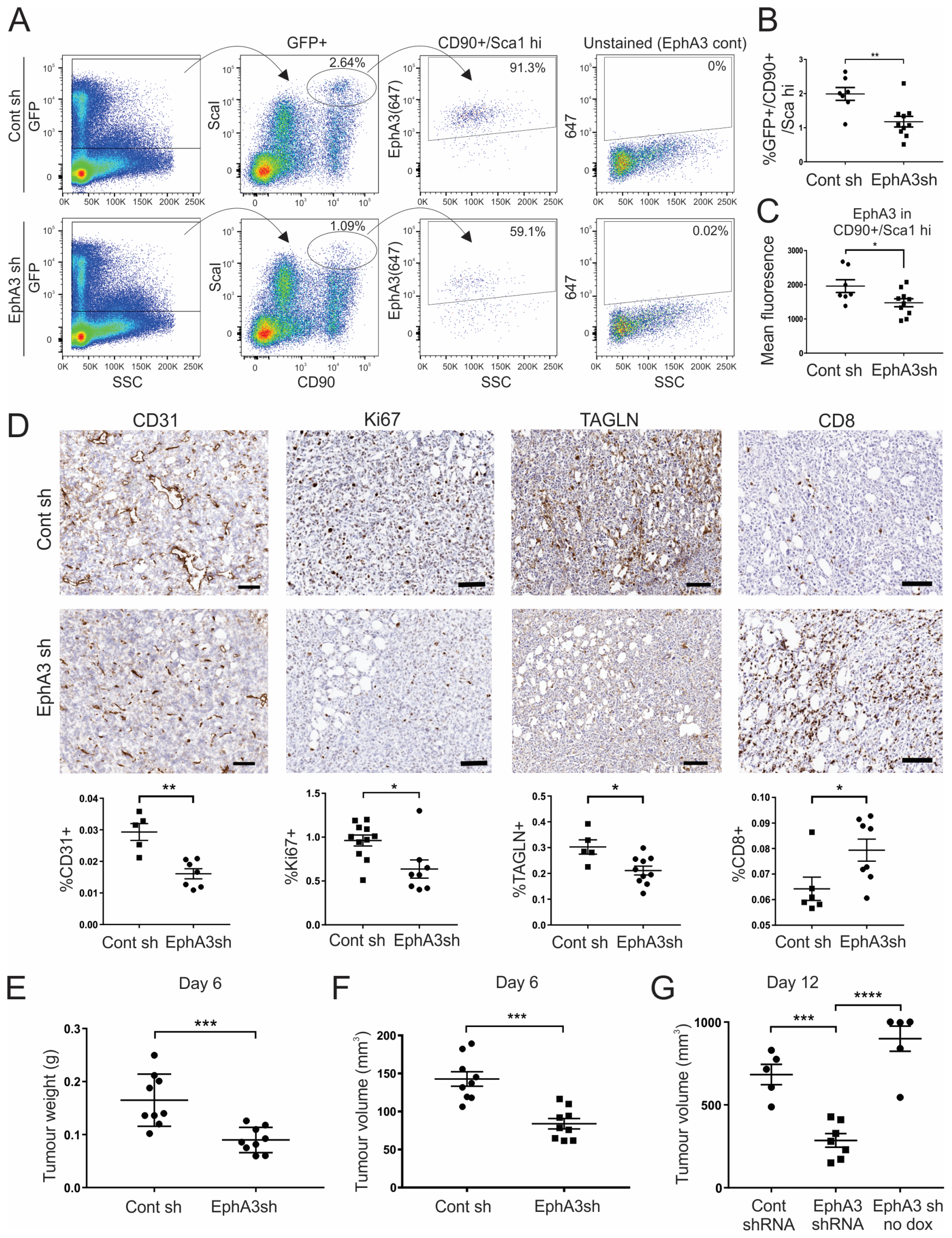 Cancers 15 04646 g005