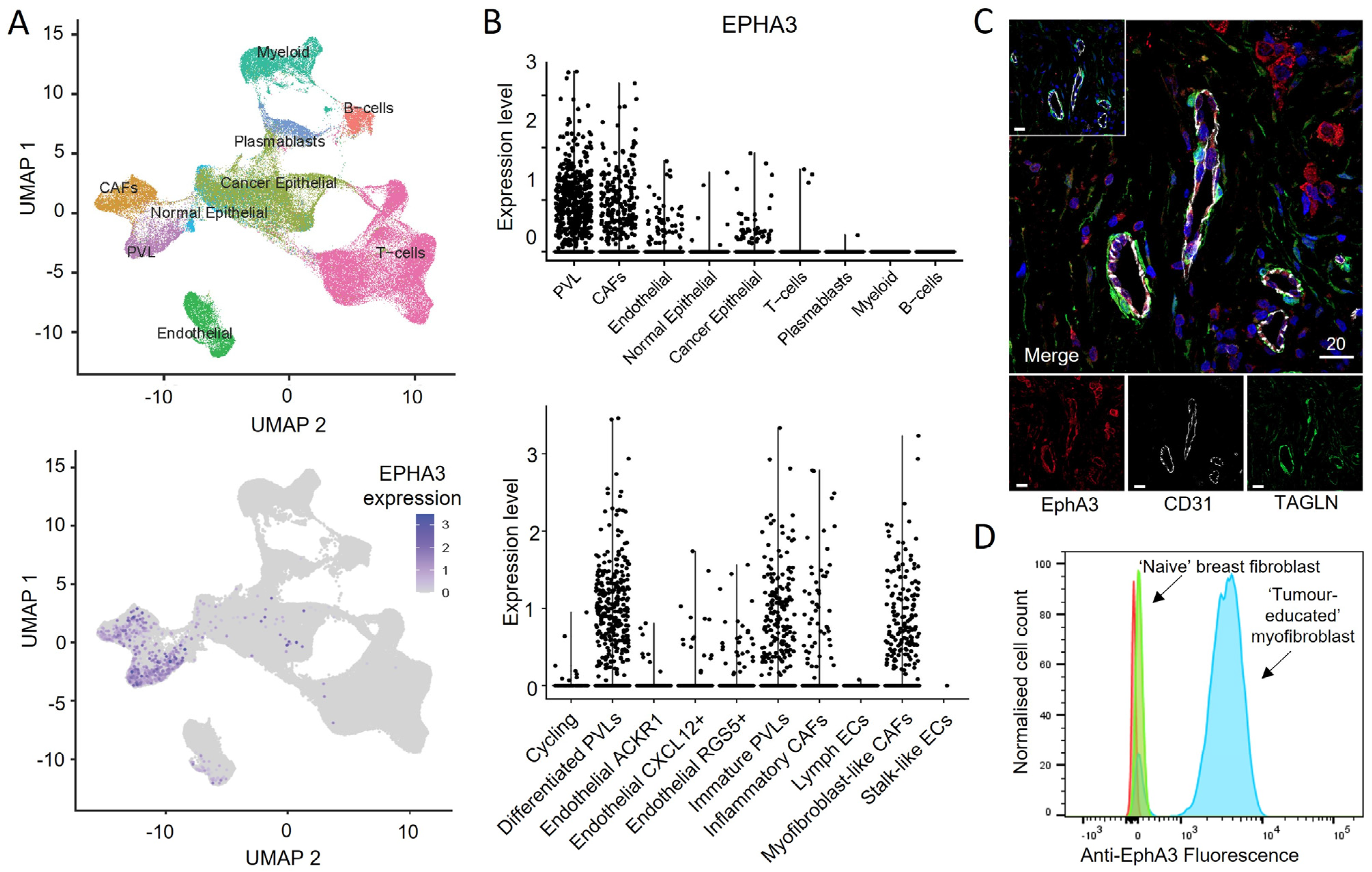 Cancers 15 04646 g006