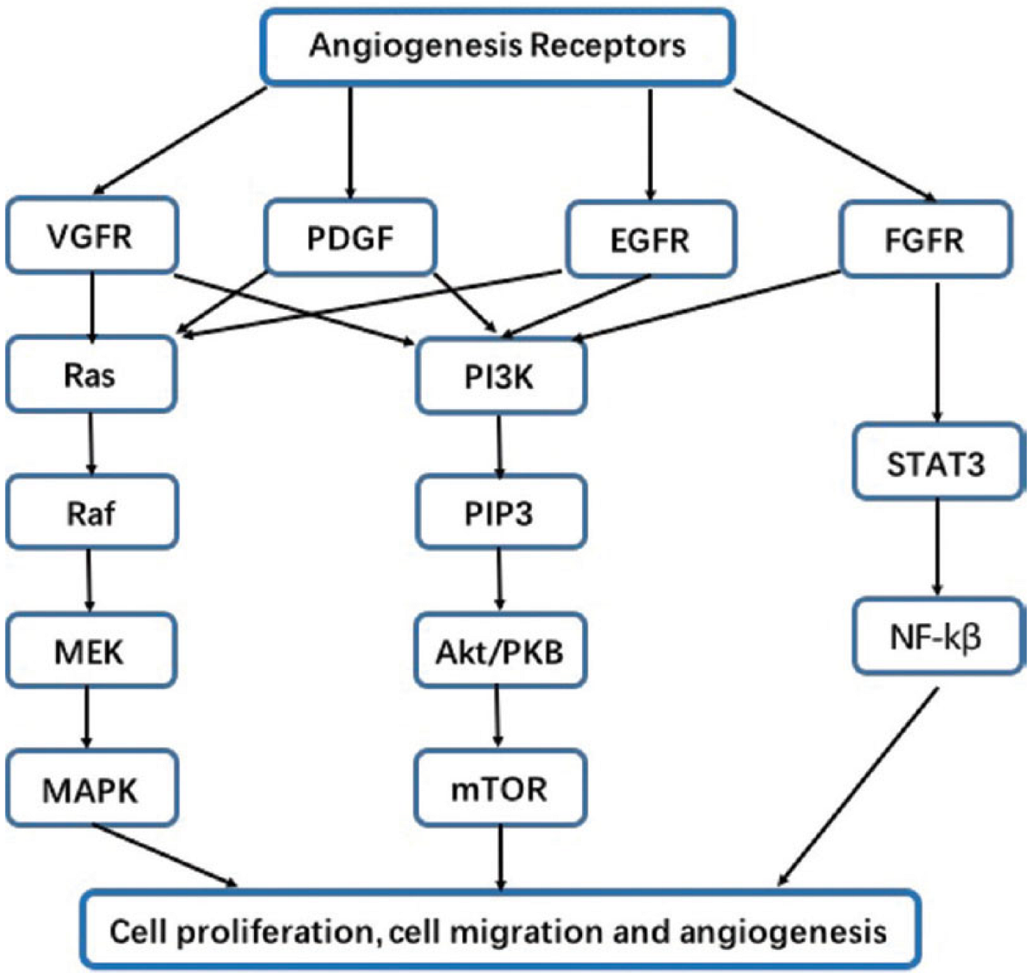 Cancers 15 04648 g001