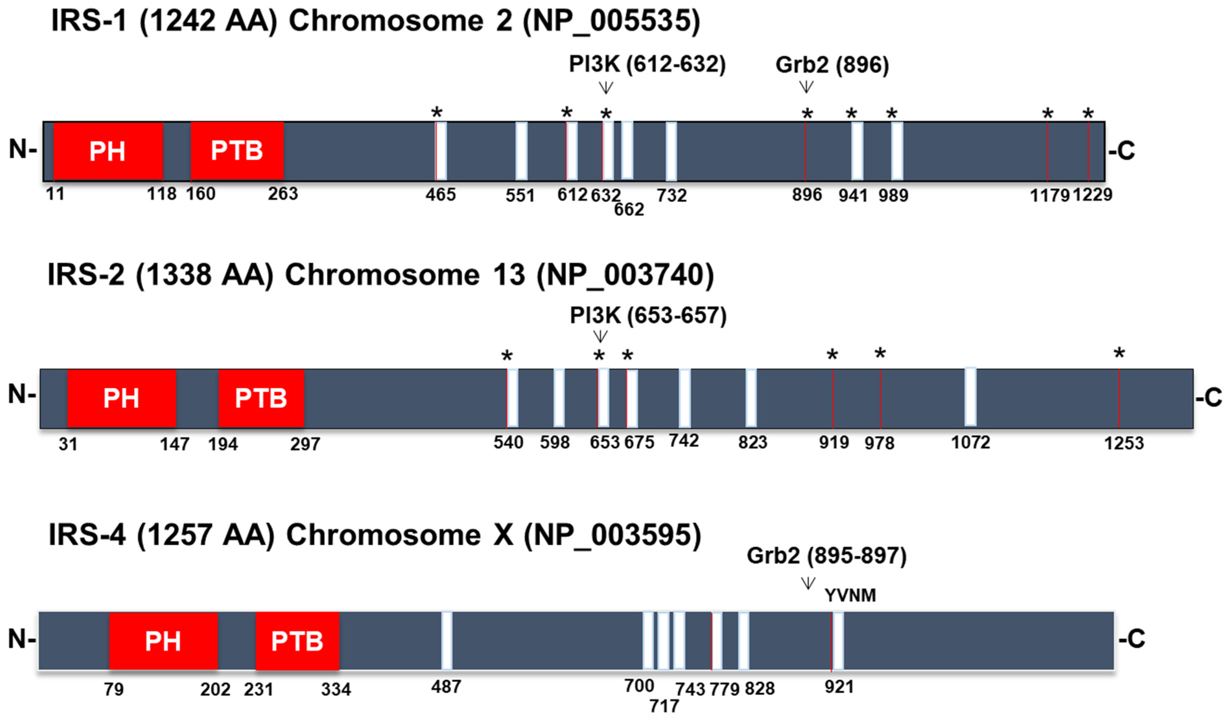 Cancers 15 04651 g002 Cancers 15 04651 g002